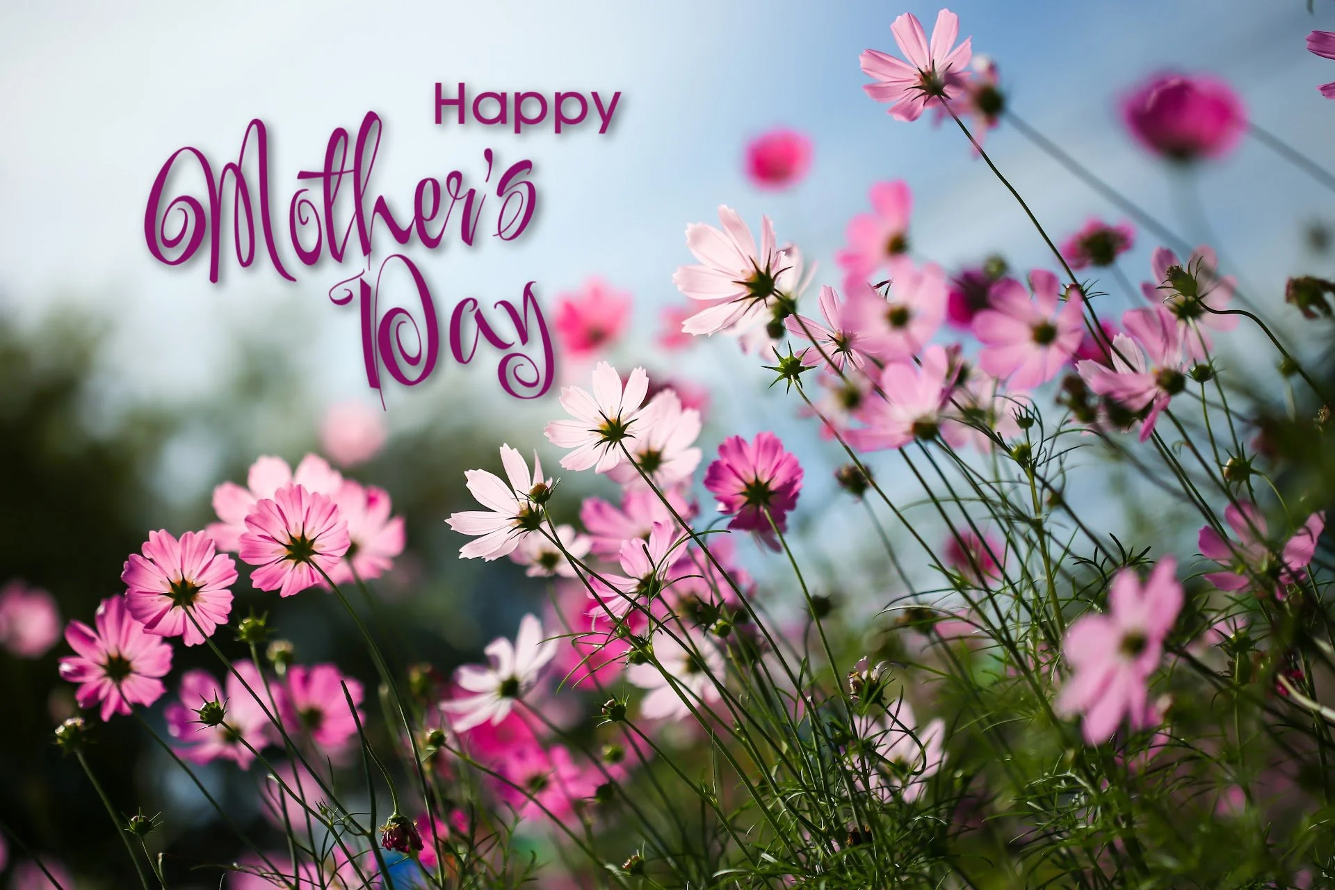 Happy Mother's Day
