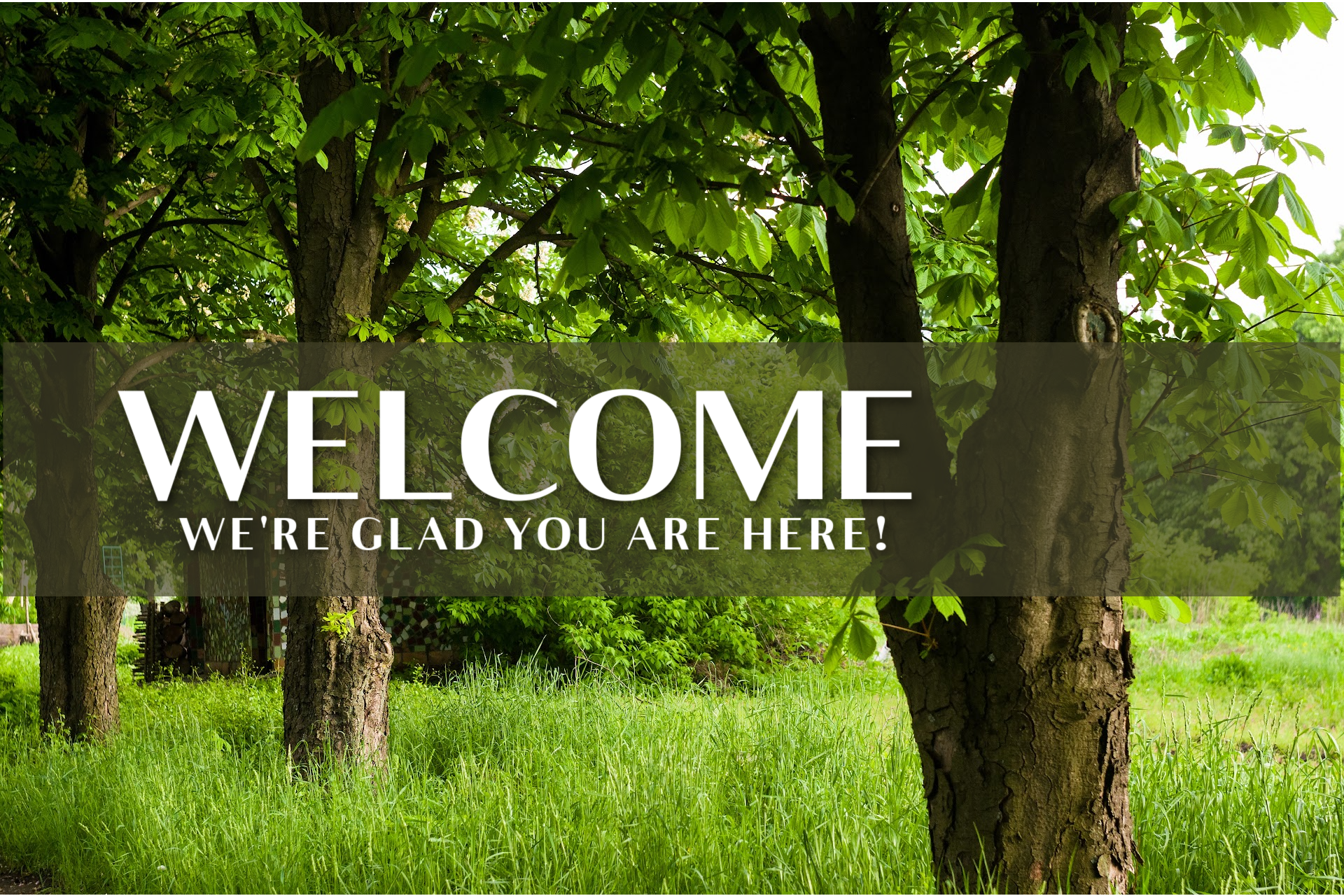 Welcome
