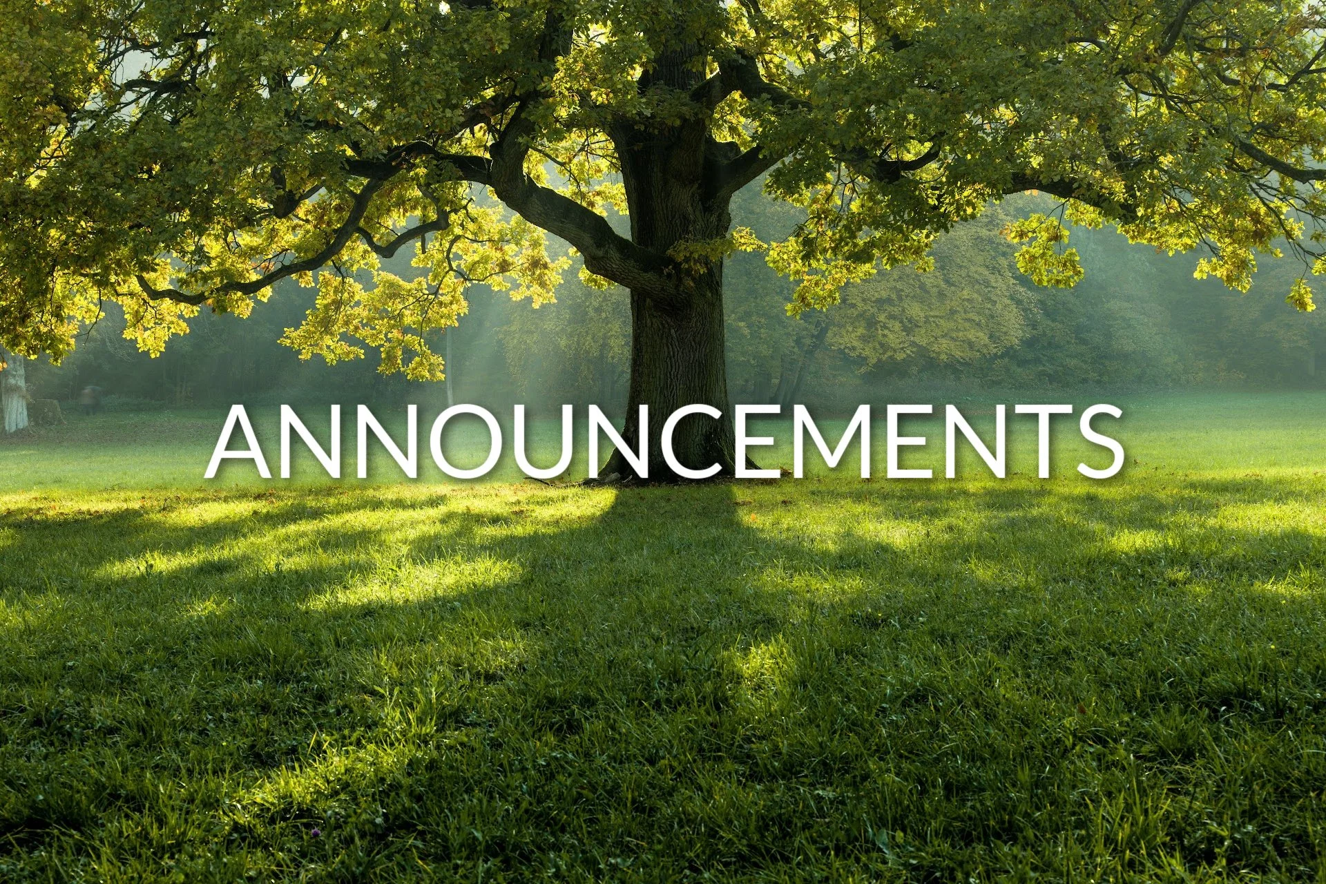 Summer Announcements