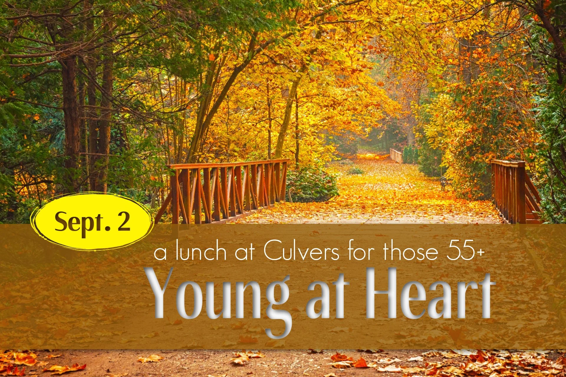 Young at Heart Lunch