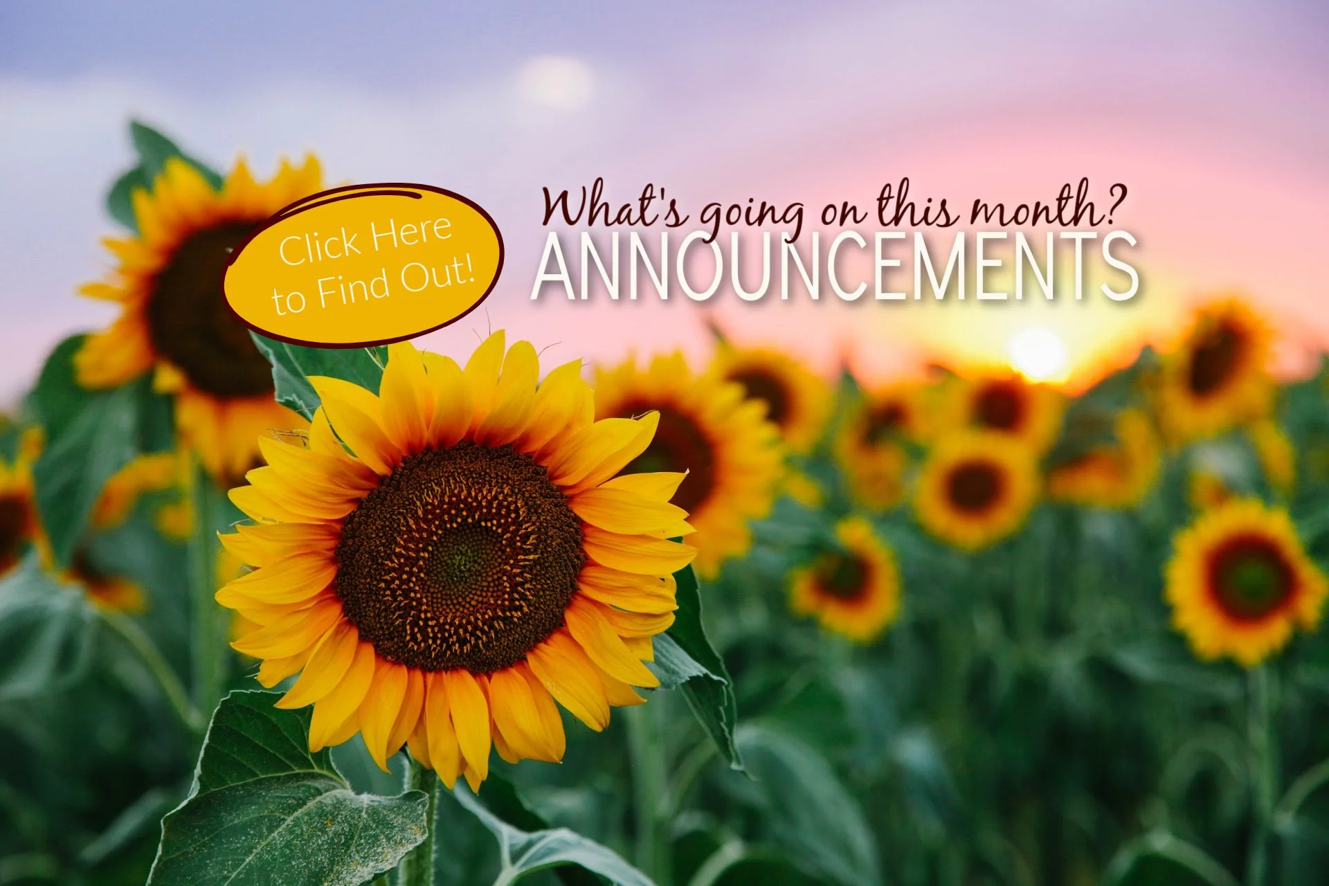 Summer Announcements