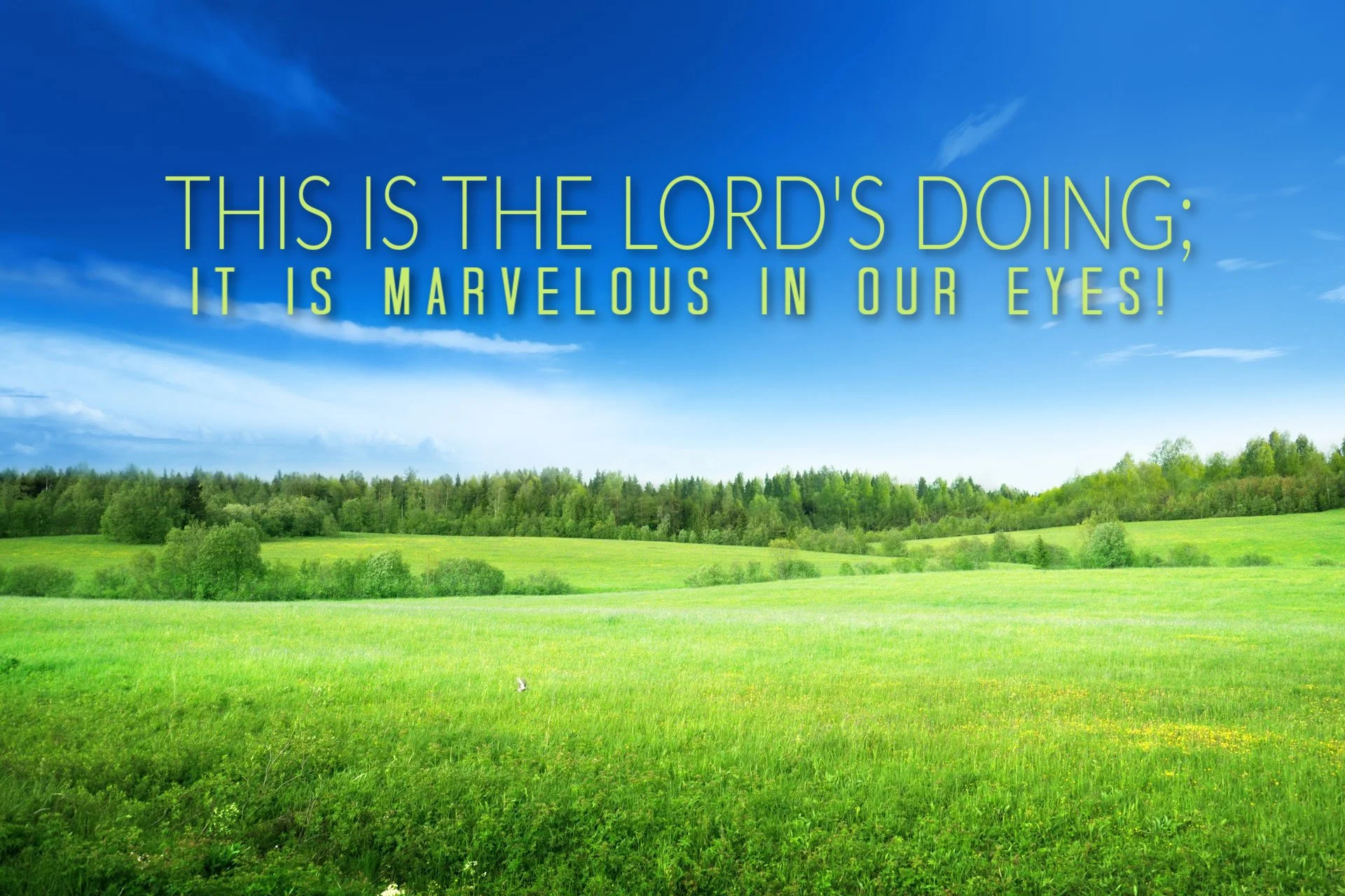 Bible Verse on God's Presence