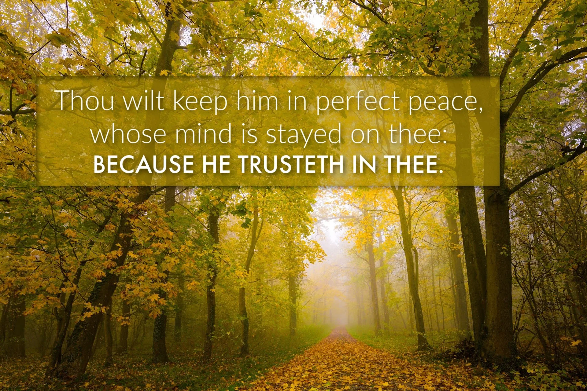 Bible Verse on God's Presence