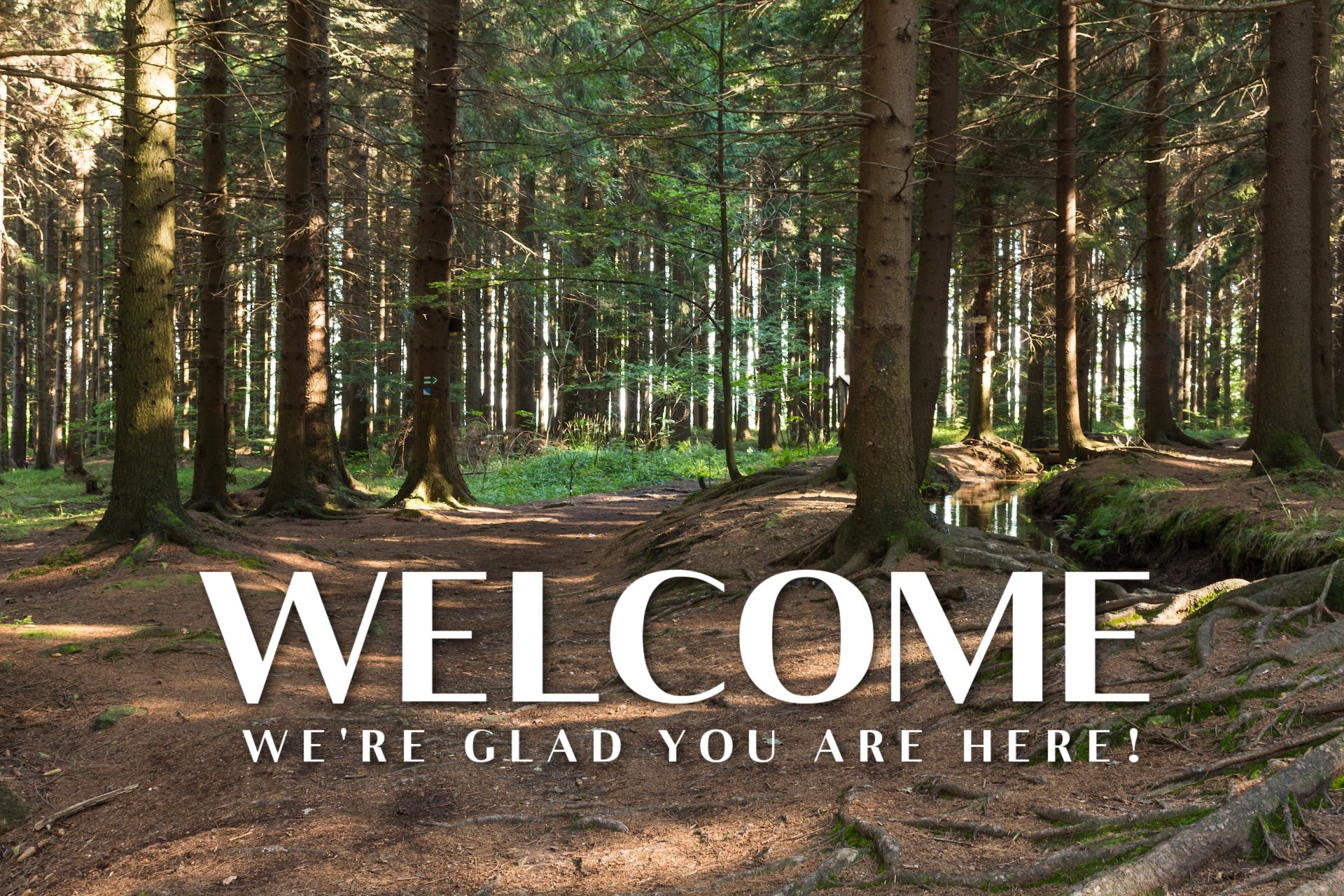 Welcome