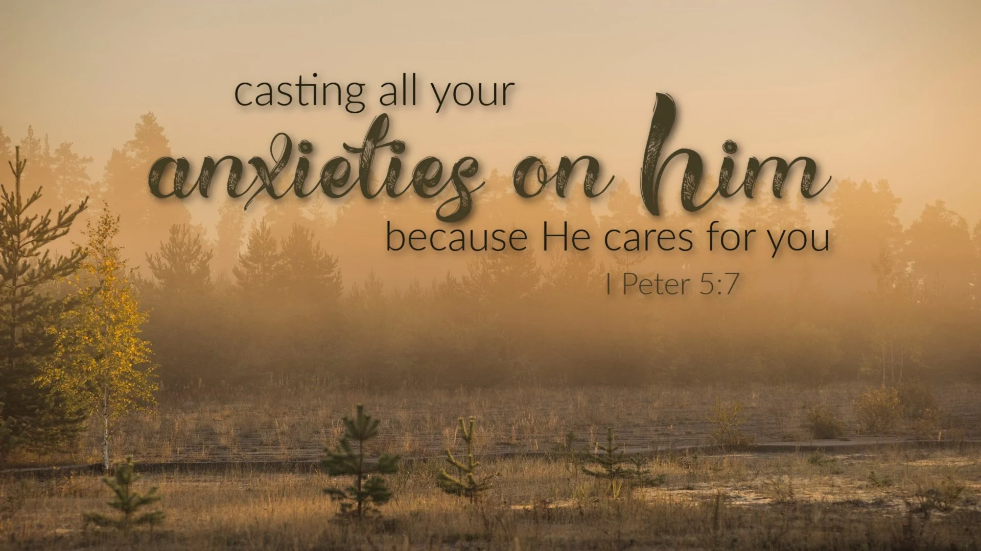 Bible Verse on God's Care