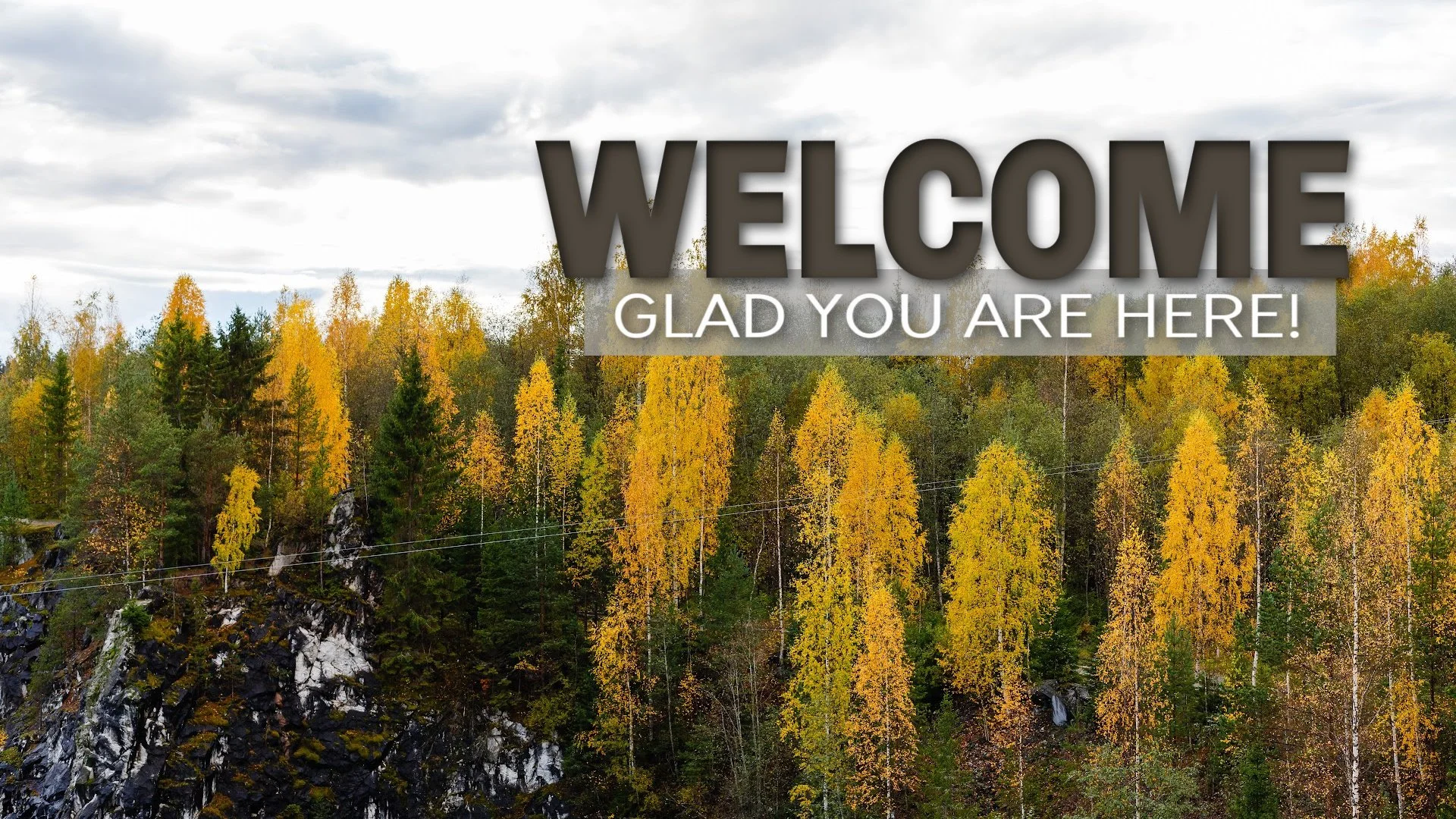 Welcome
