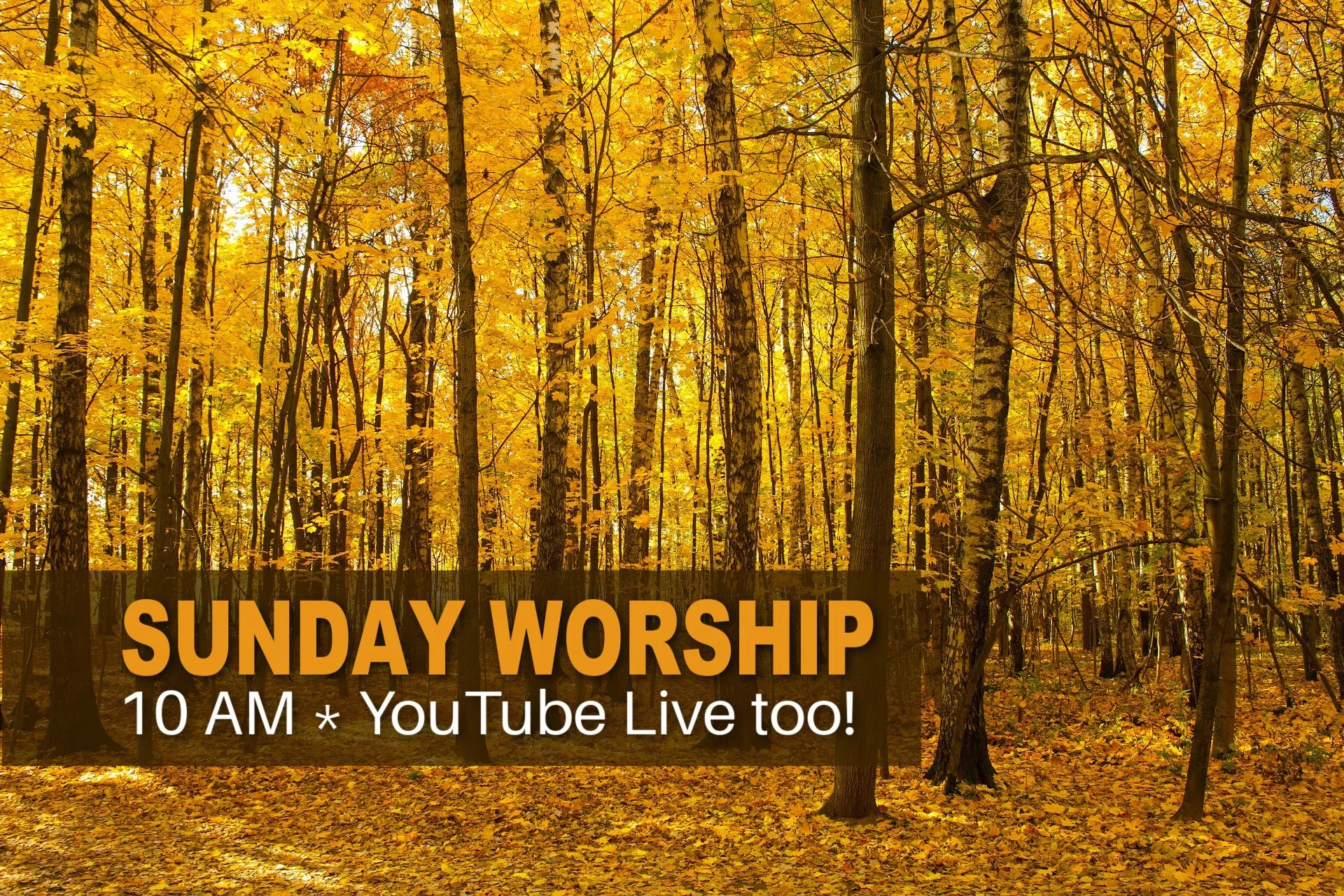 Fall Worship 