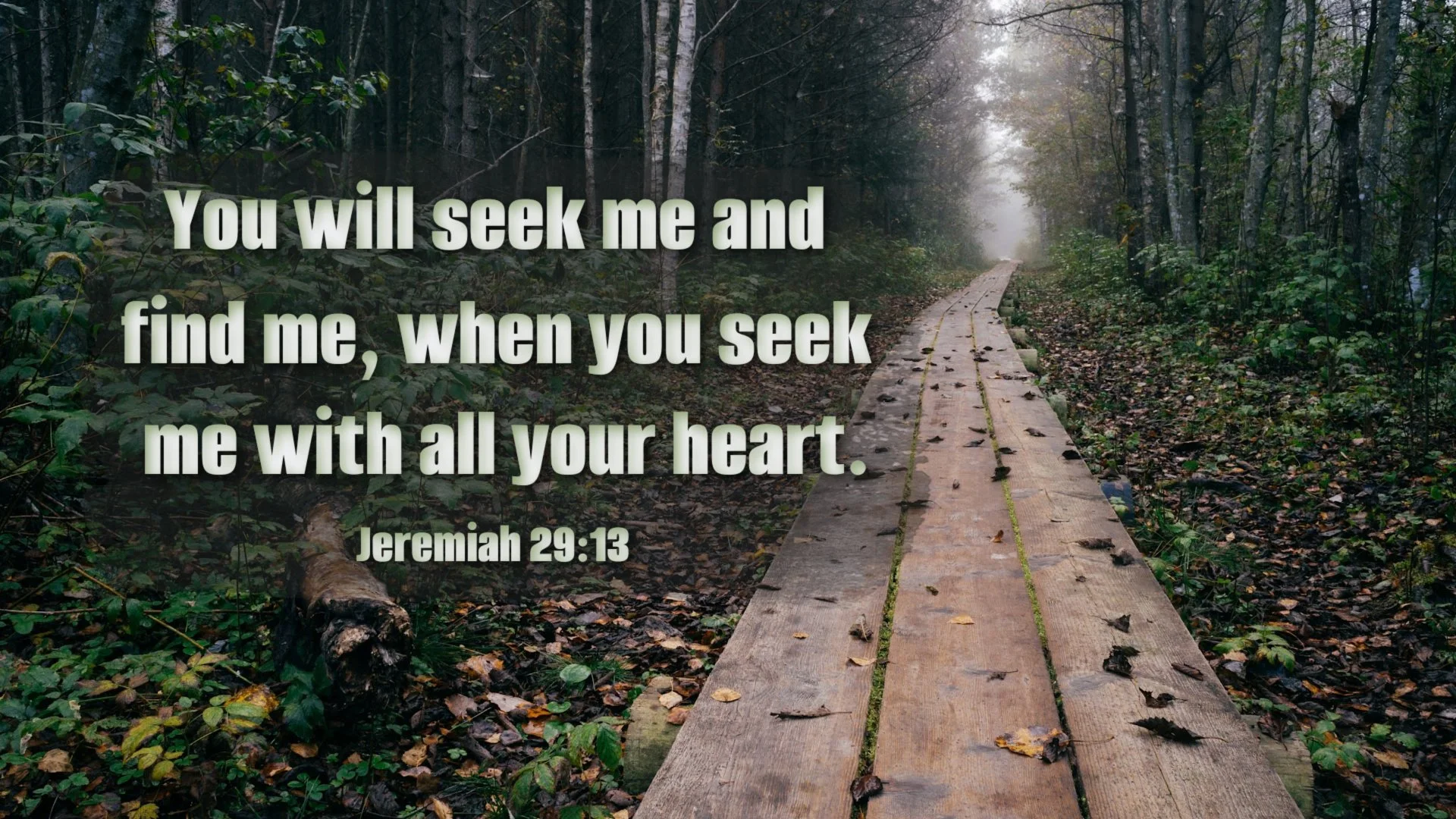 Seeking God Jeremiah 29
