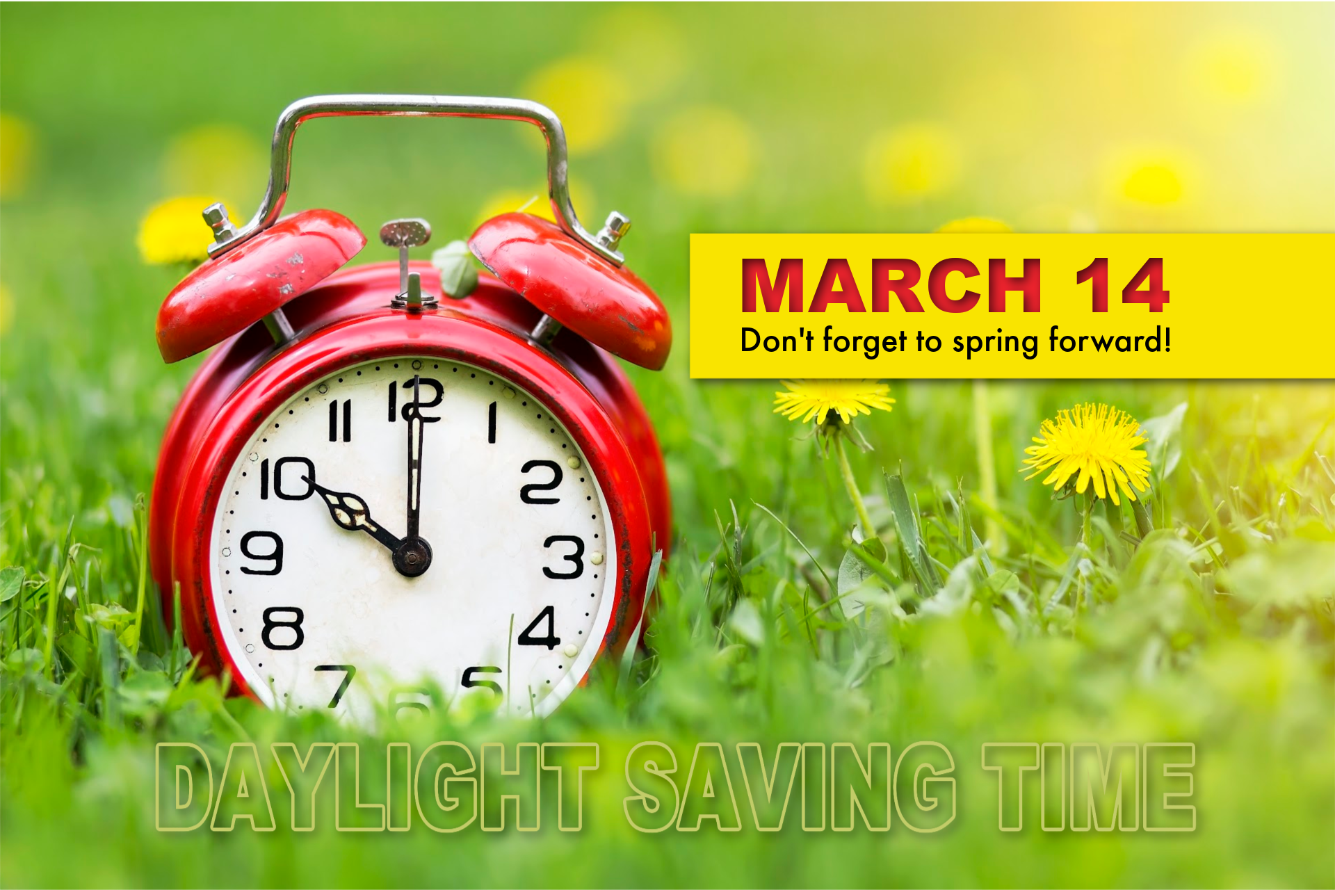 Spring Daylight Saving Time
