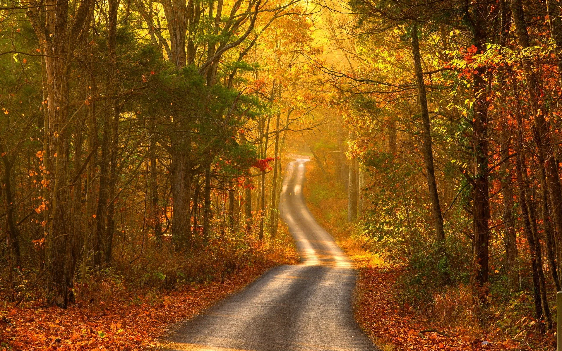 Autumn background 39.jpg