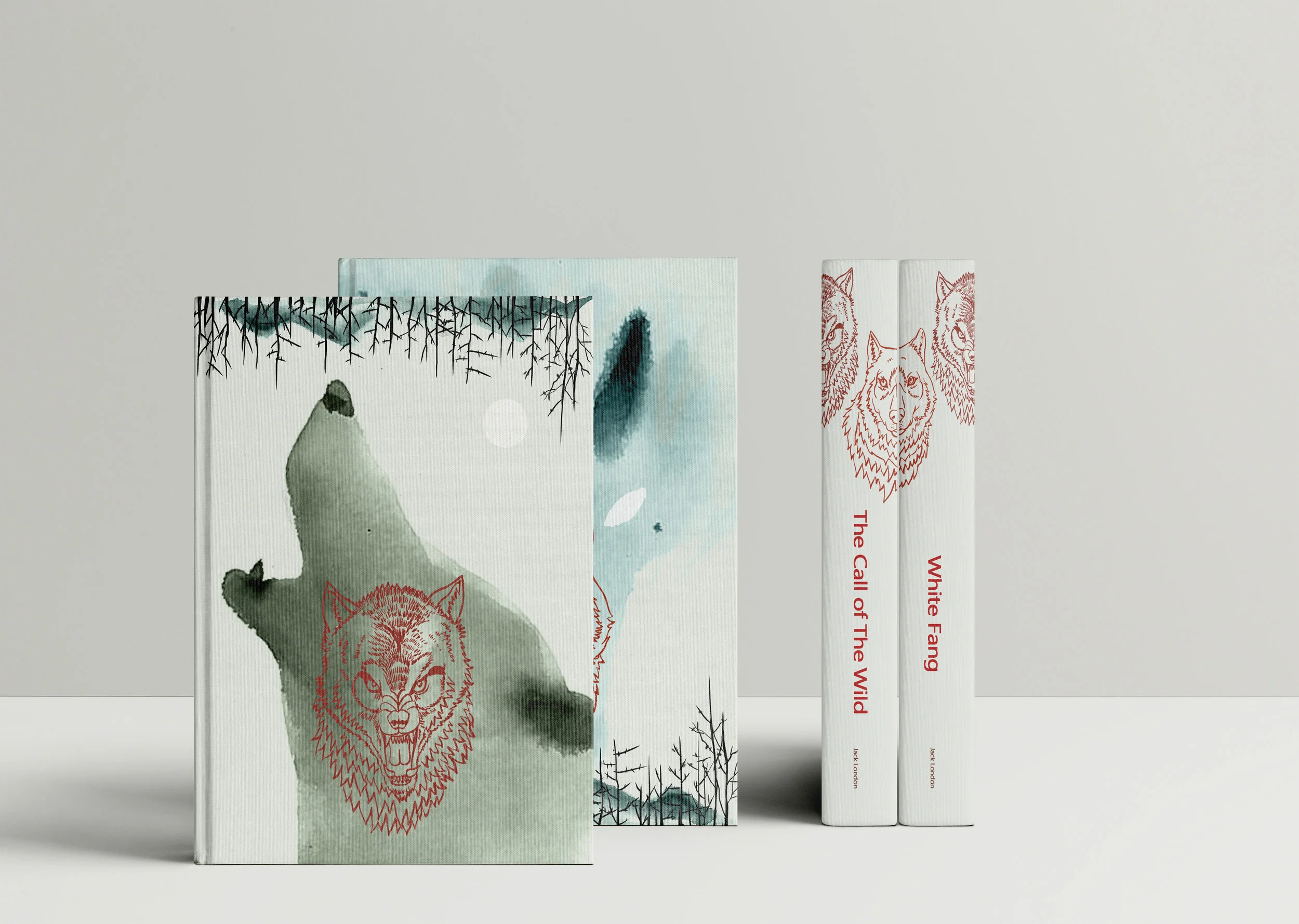 final_Hardcover-Book-MockUp-2.jpg