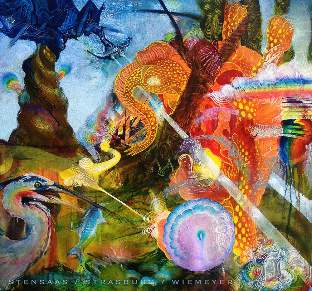  (c) Stensaas/ Strasburg 2016 