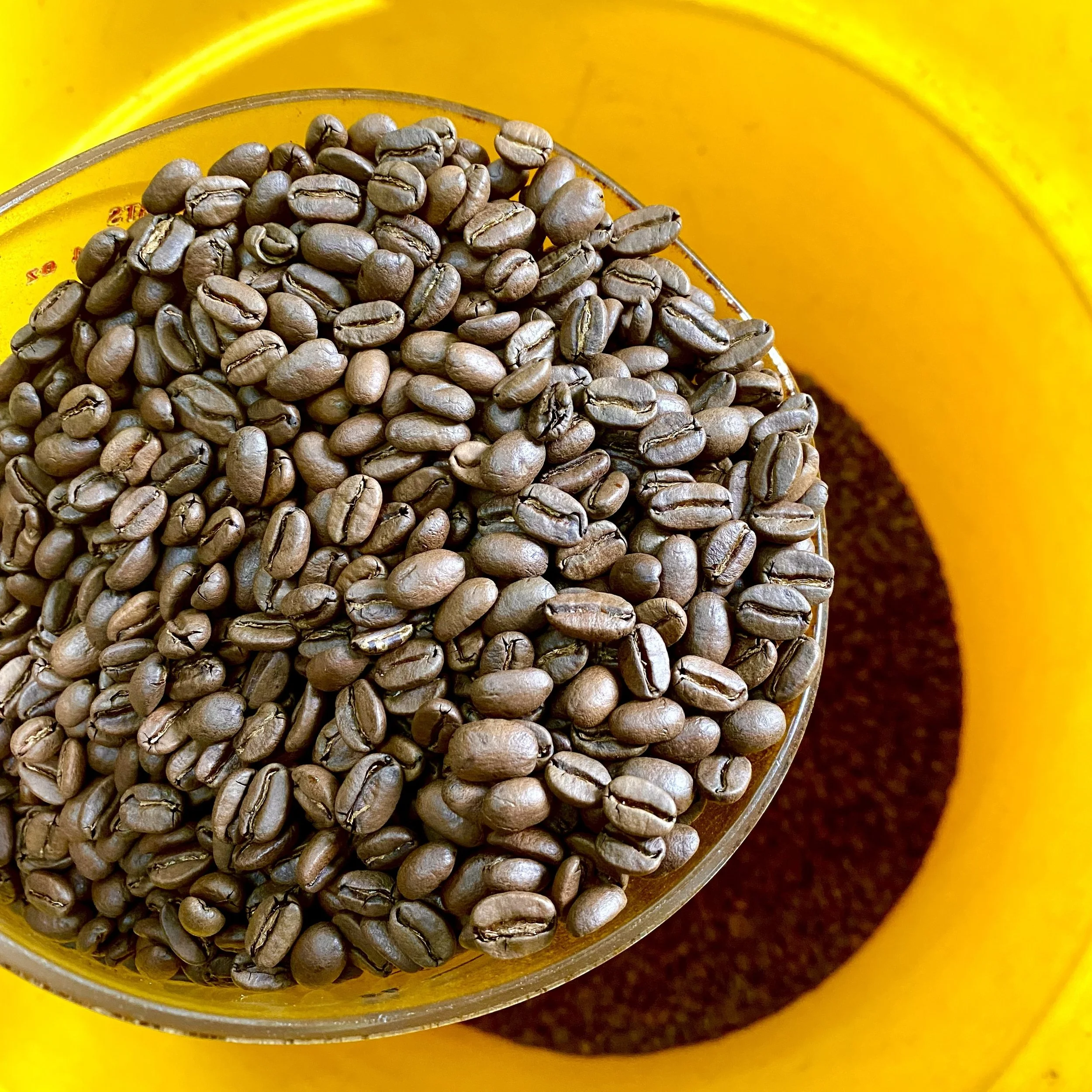 The Art of Roasting: Bringing Out the Best in the Beans