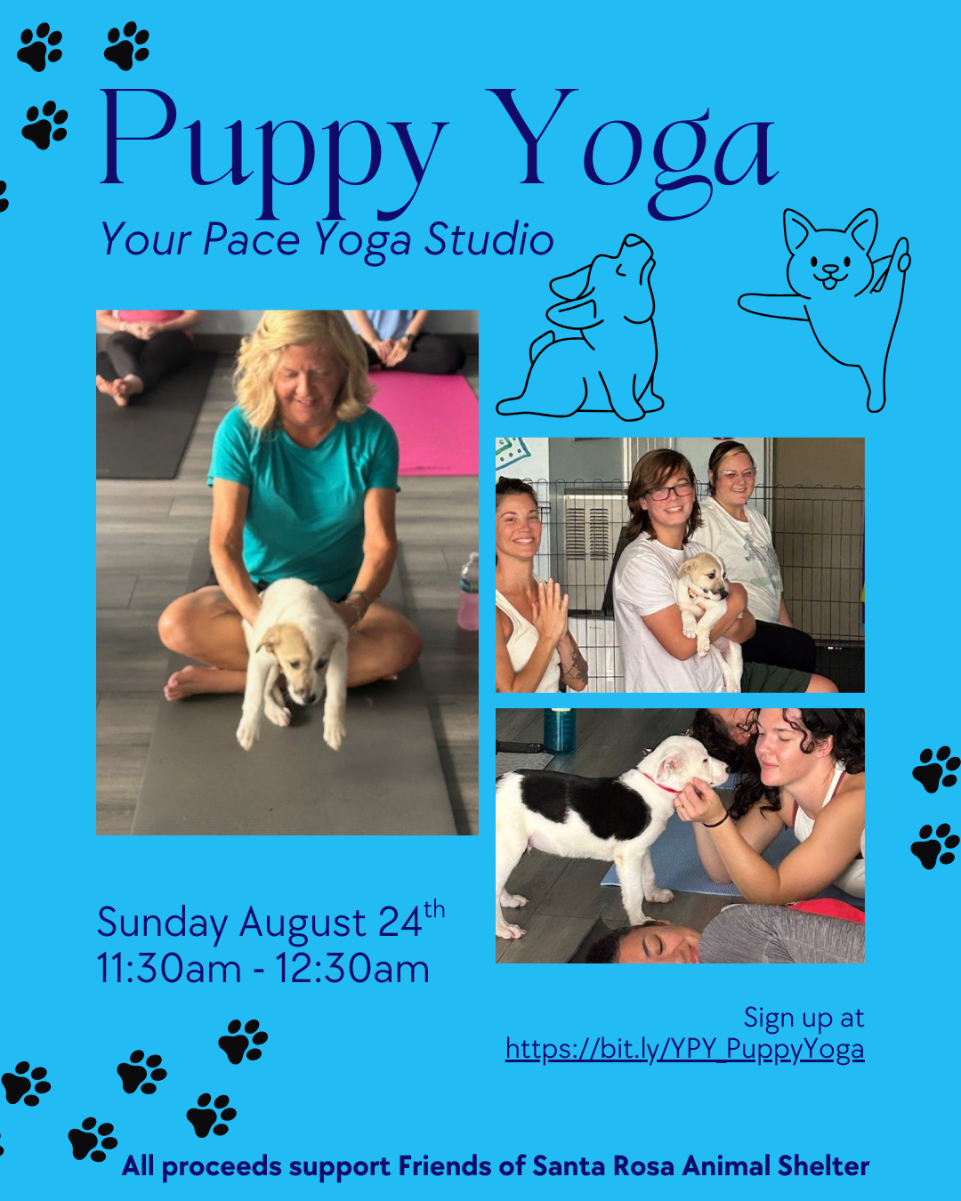 Puppy Yoga