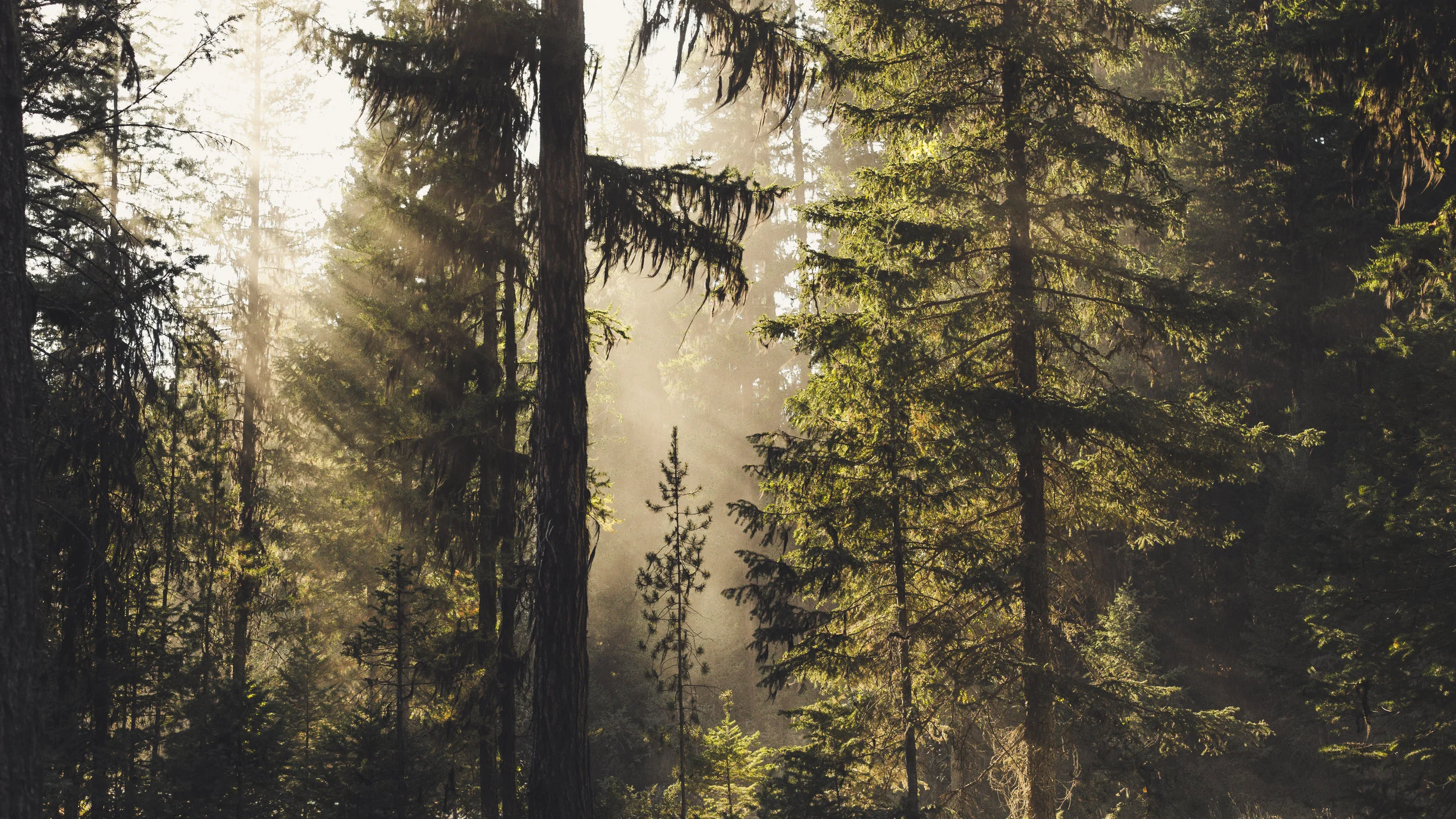 Scenic/Experimental Photography