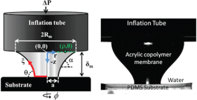 2013 Langmuir Ken Schull.gif