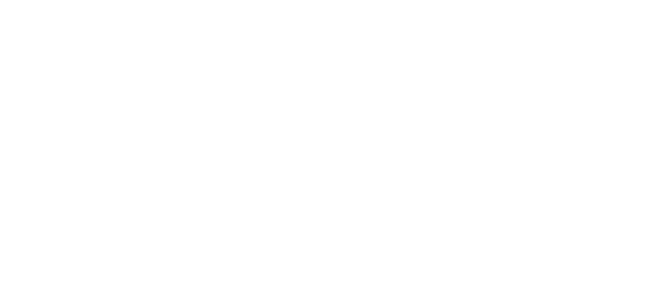 Big Break logo_white.png