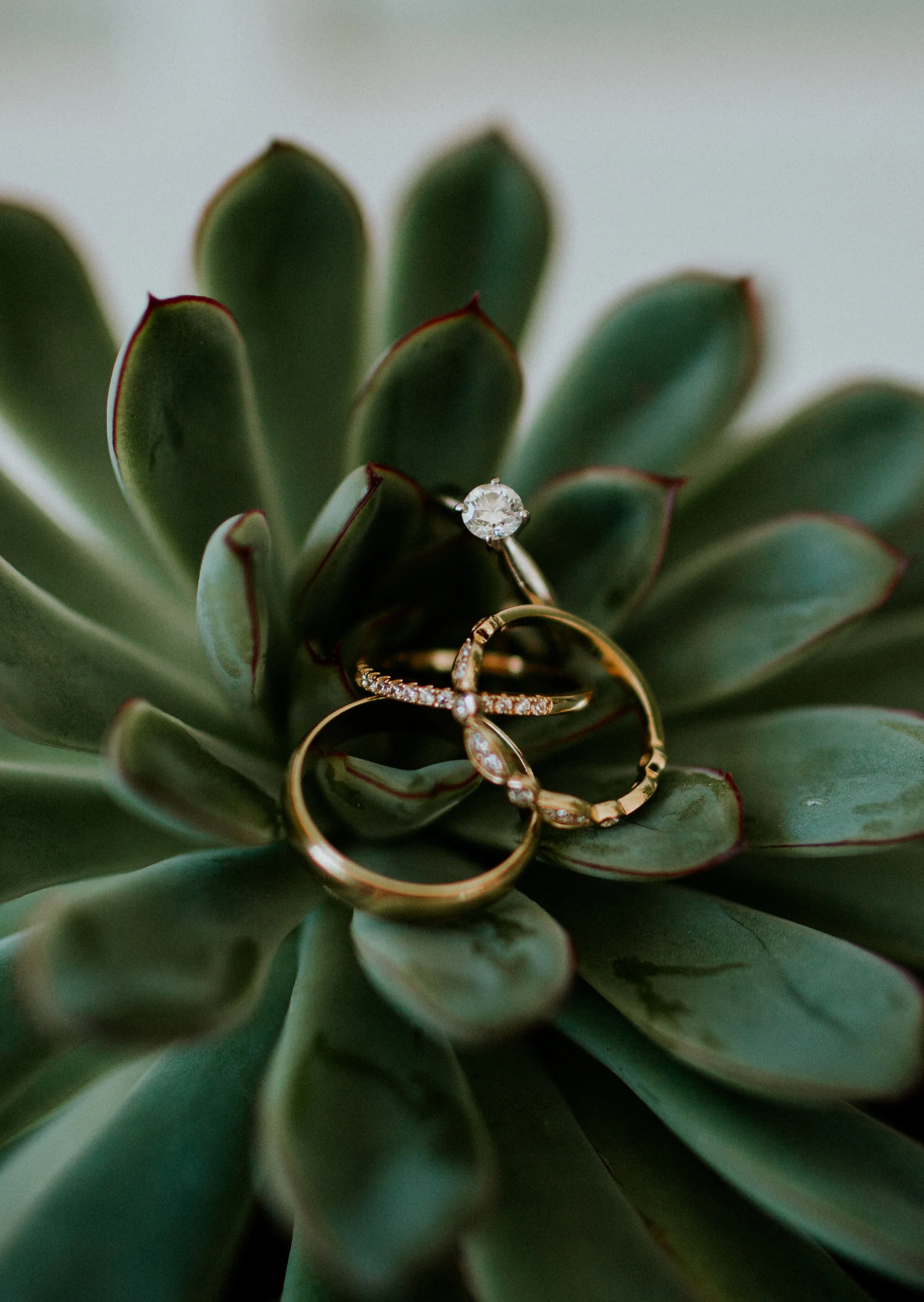 hannaheldinwedding-16.jpg