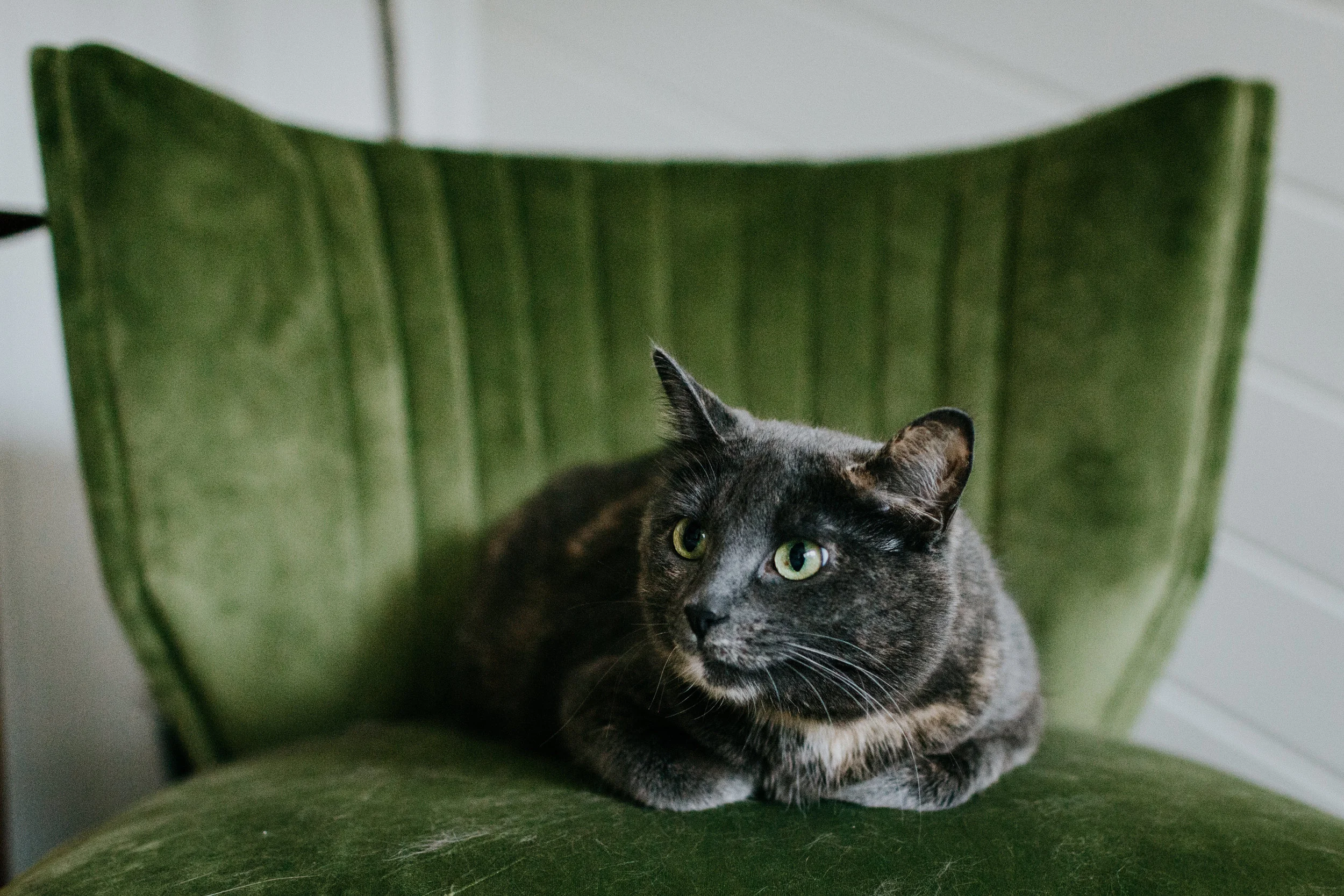 TanaCody-Brooke.Couch-2.jpg