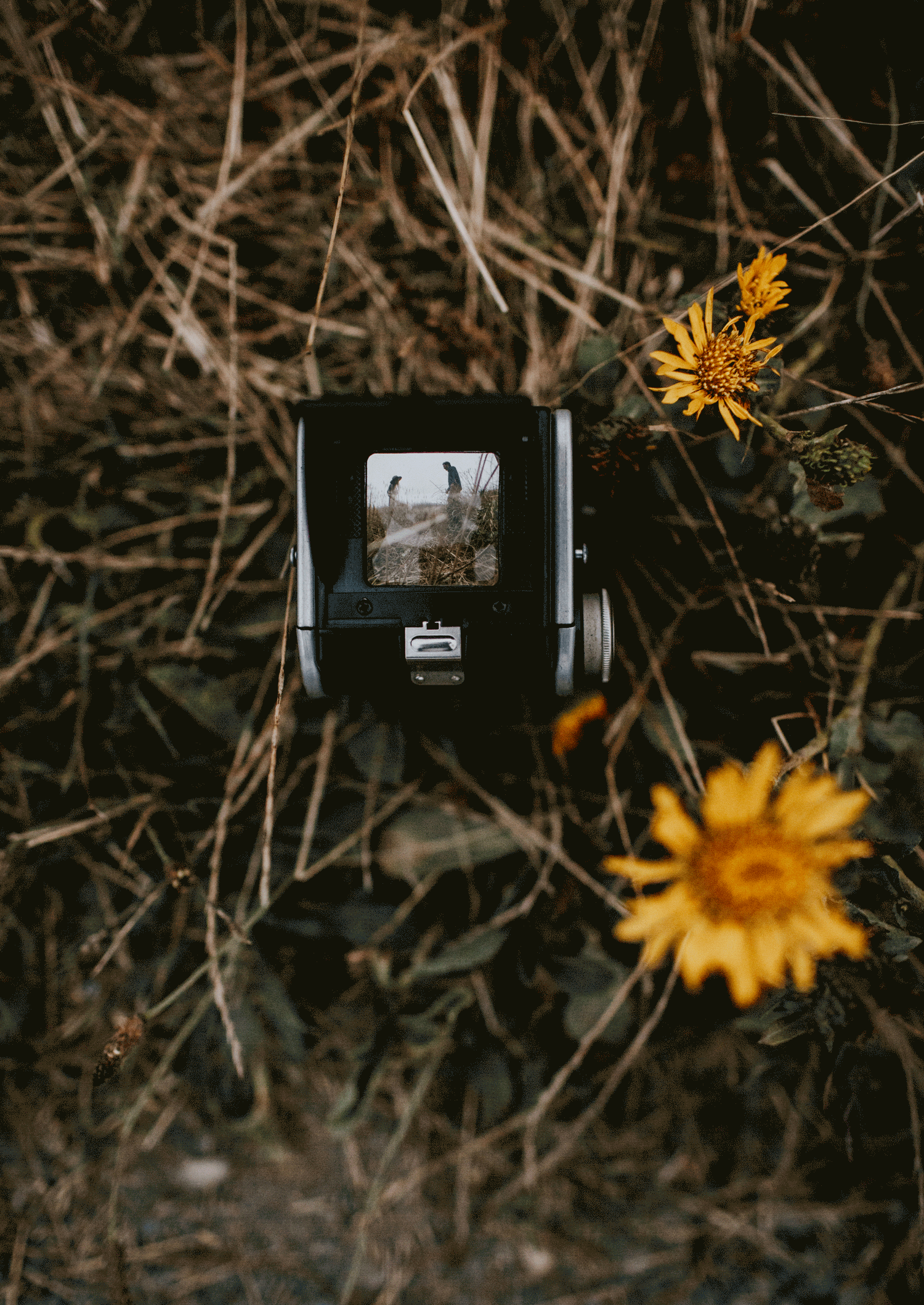 Lyndi + Ashton- San Fransisco &amp; Point Reyes 