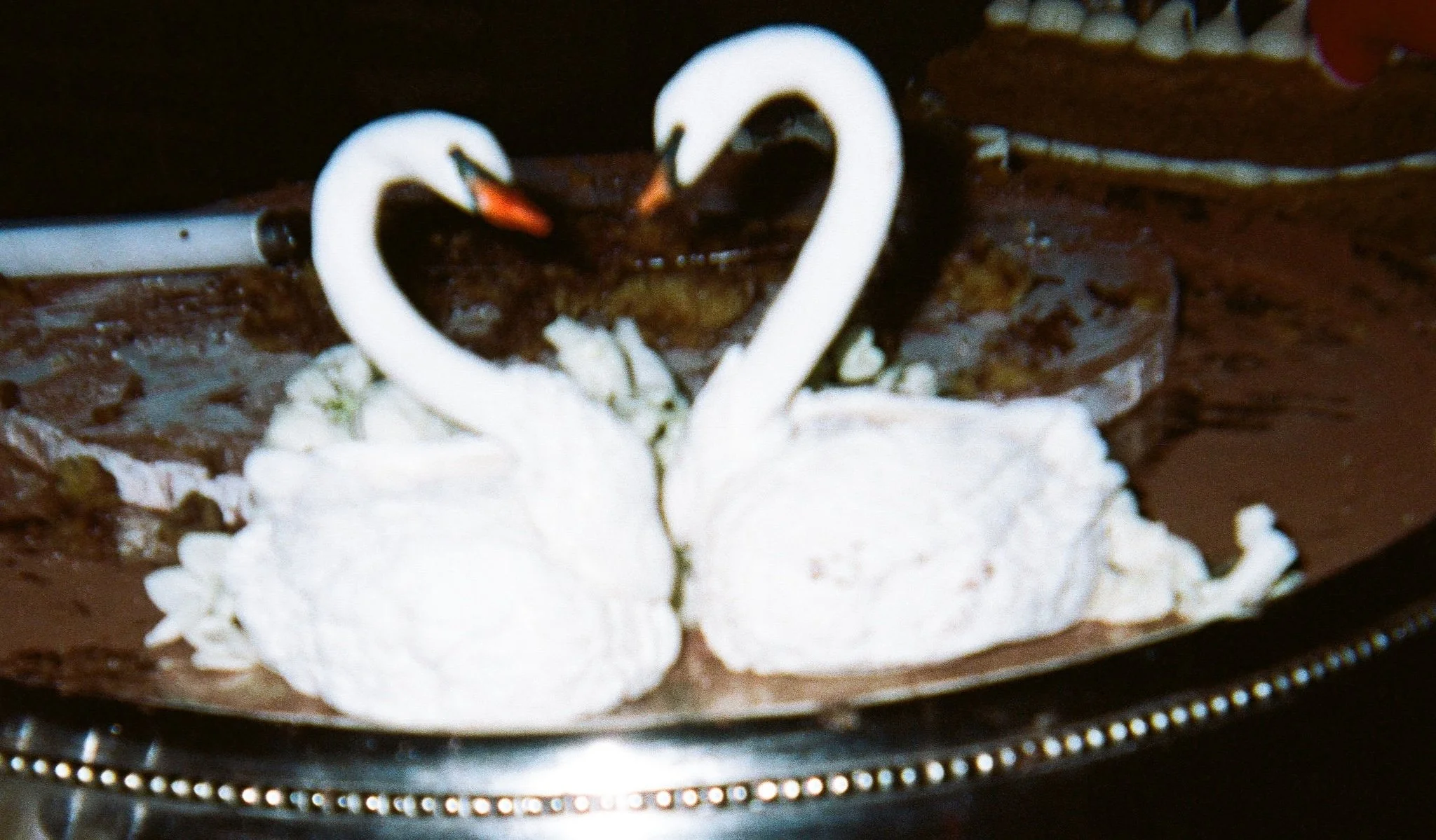 The Foxglove Wedding - Alex &amp; Wesley