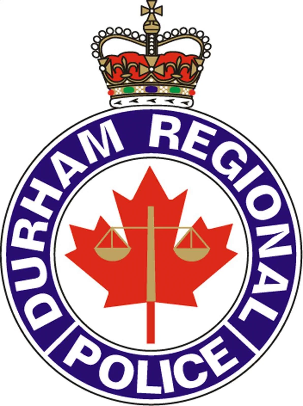 DRPS logo.jpg