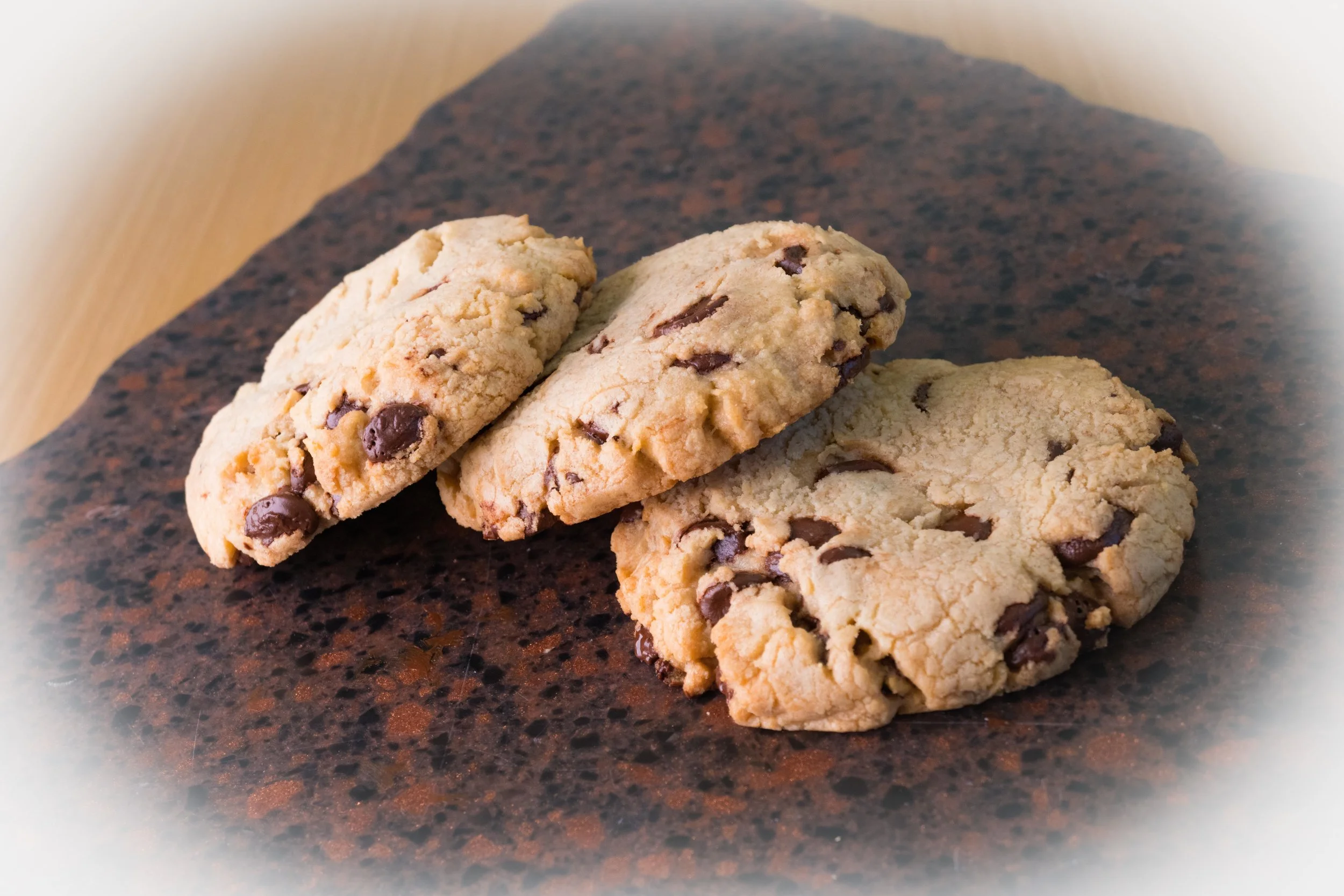 DSC00452 Cookie Vignette.jpeg