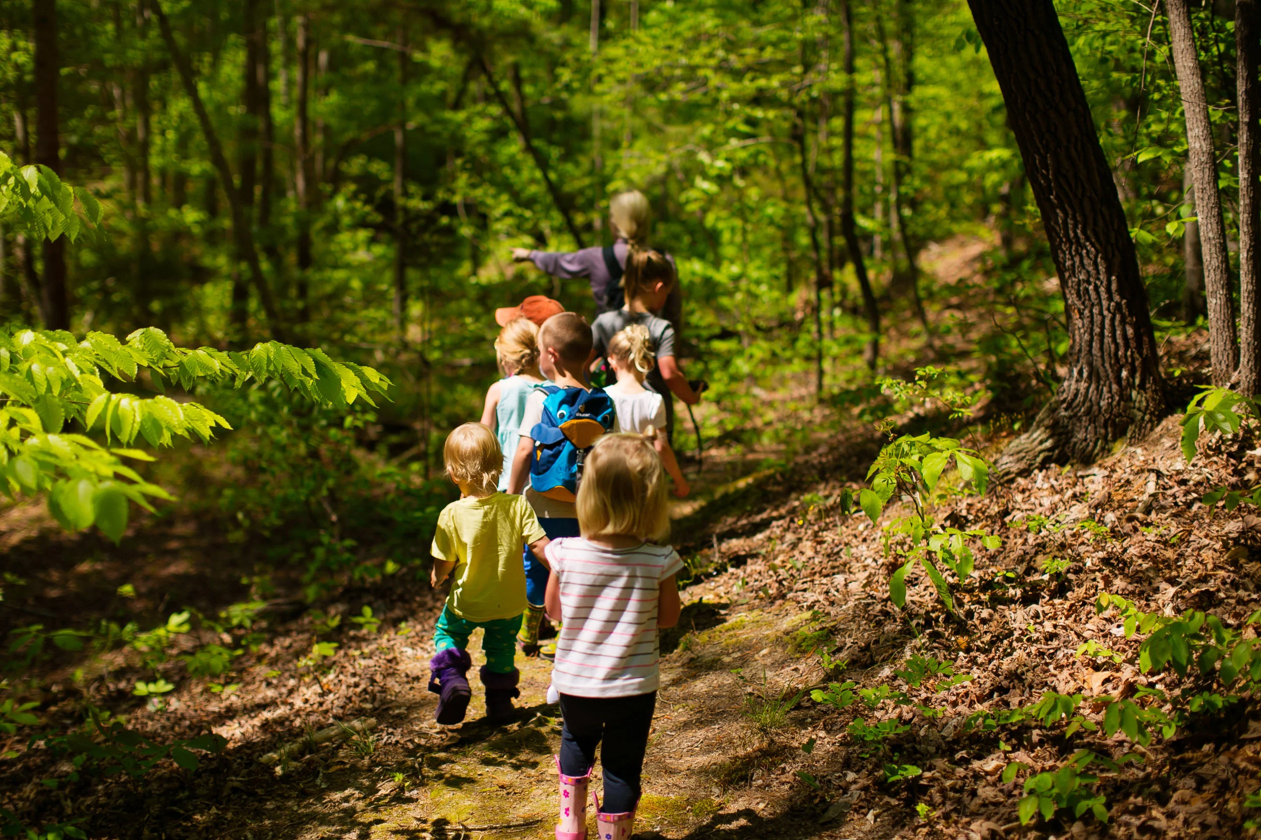 Forest School-Forest School-0013.jpg