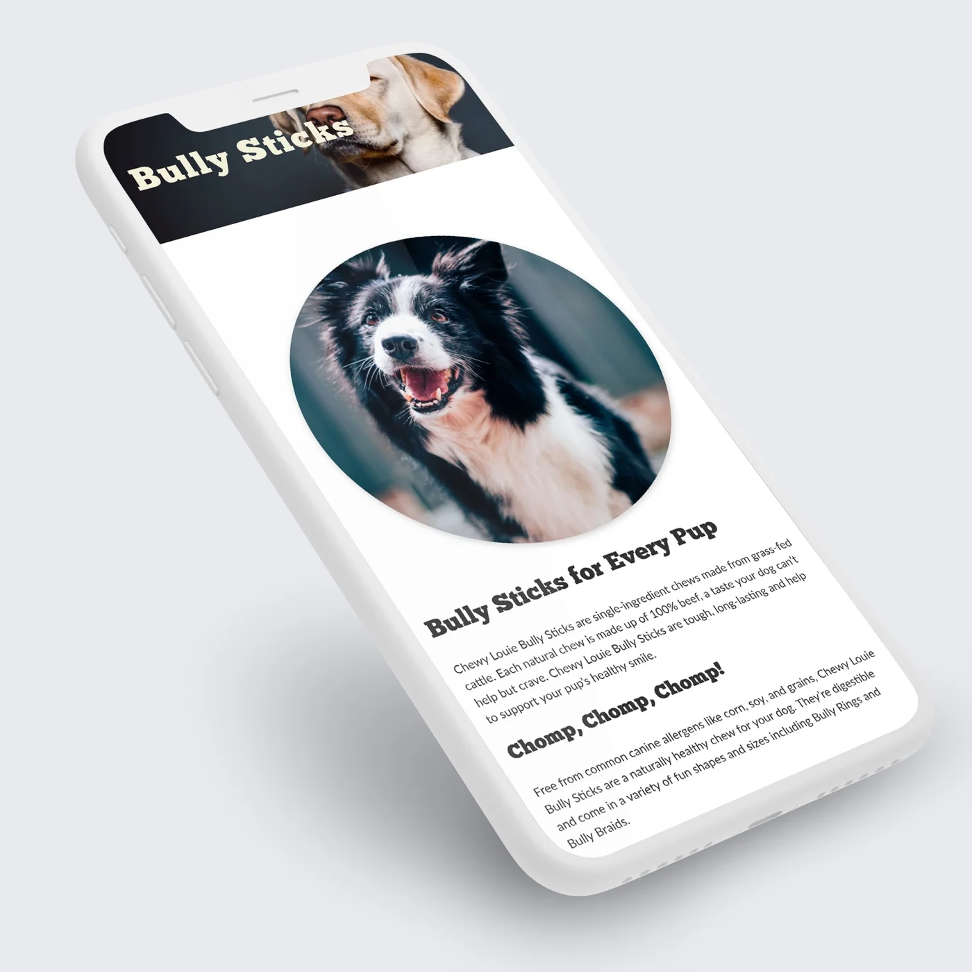 chewy-ios.jpg