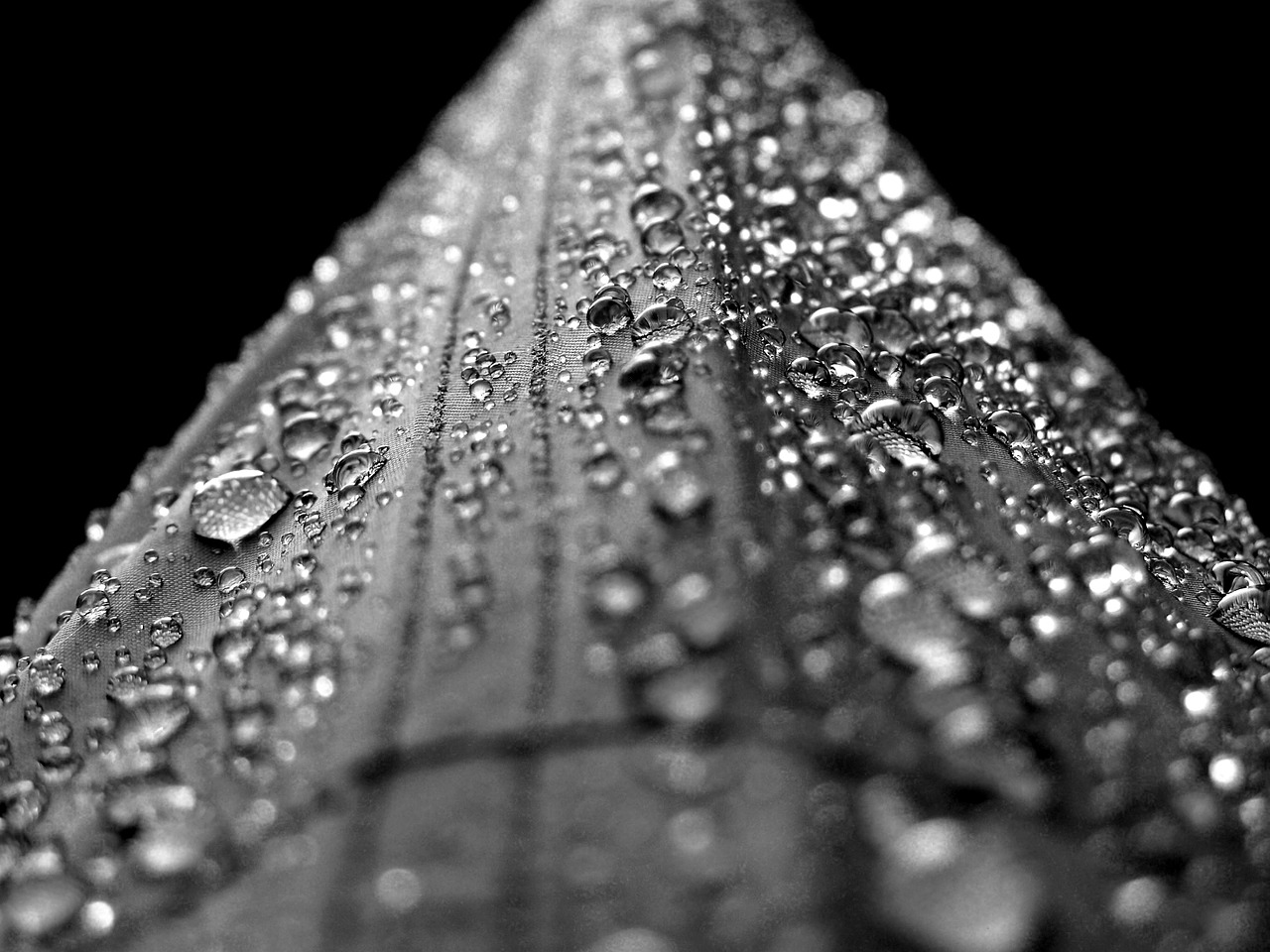 water-102952_1280 (1).jpg
