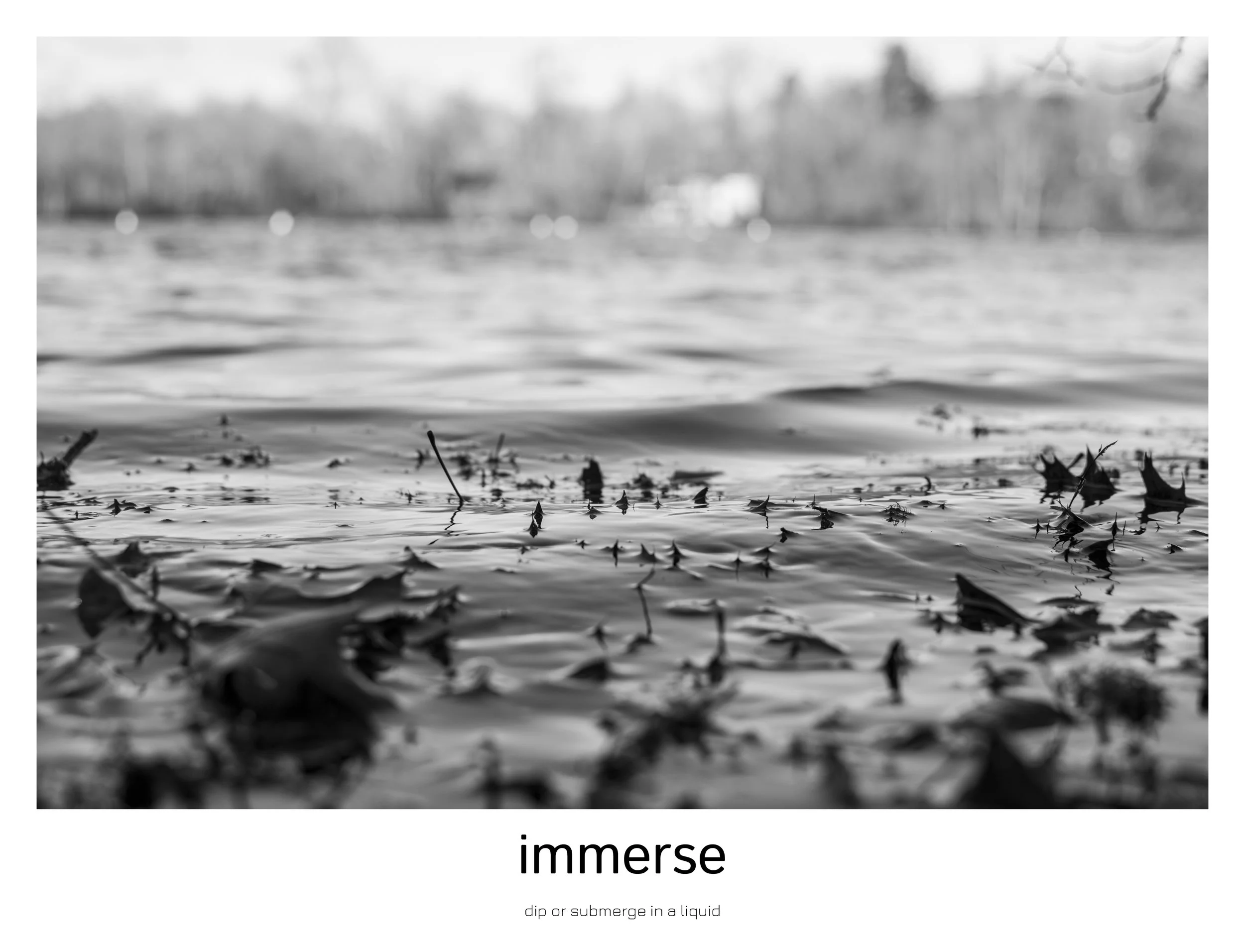 the capture of nature2.jpg
