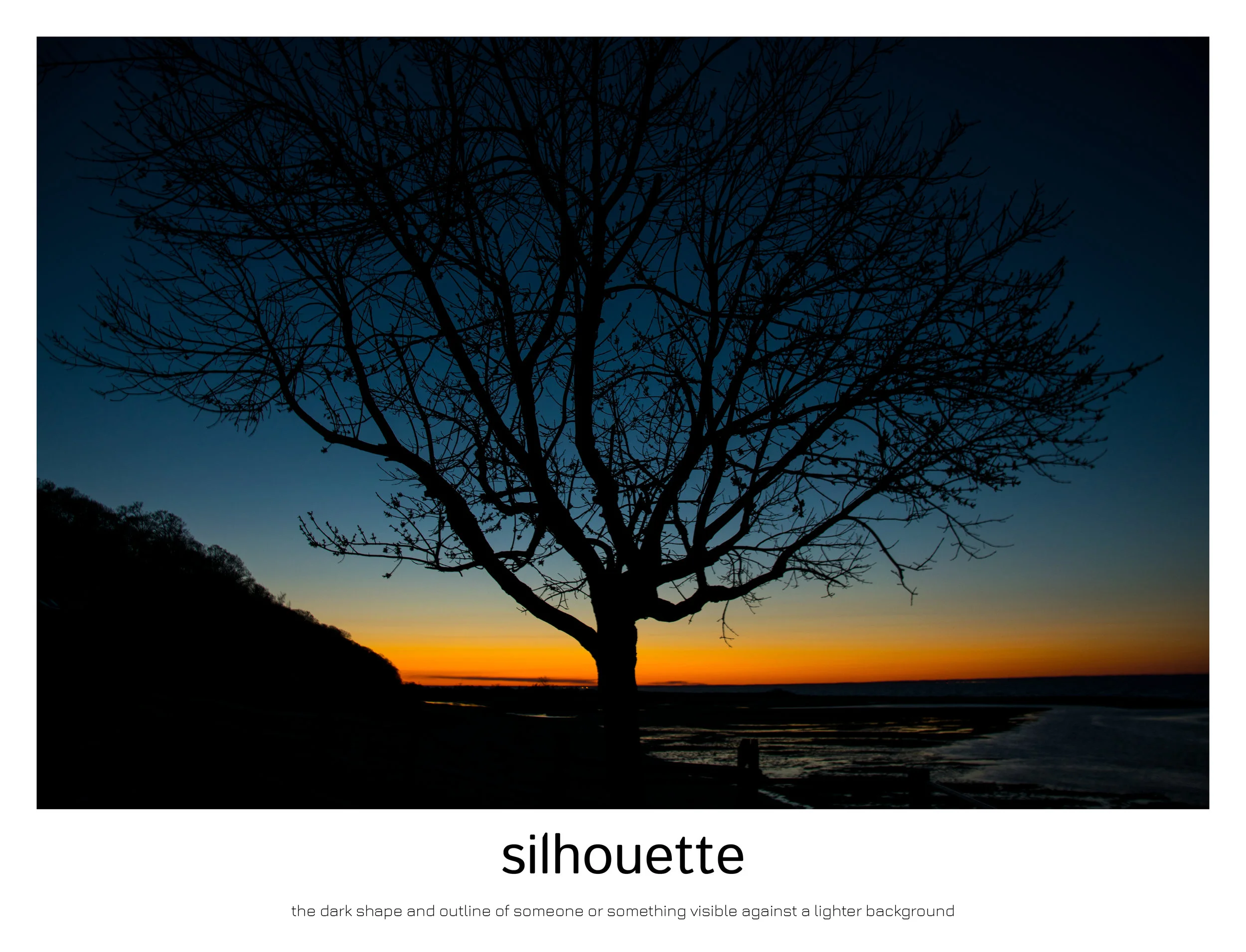 the capture of nature3.jpg
