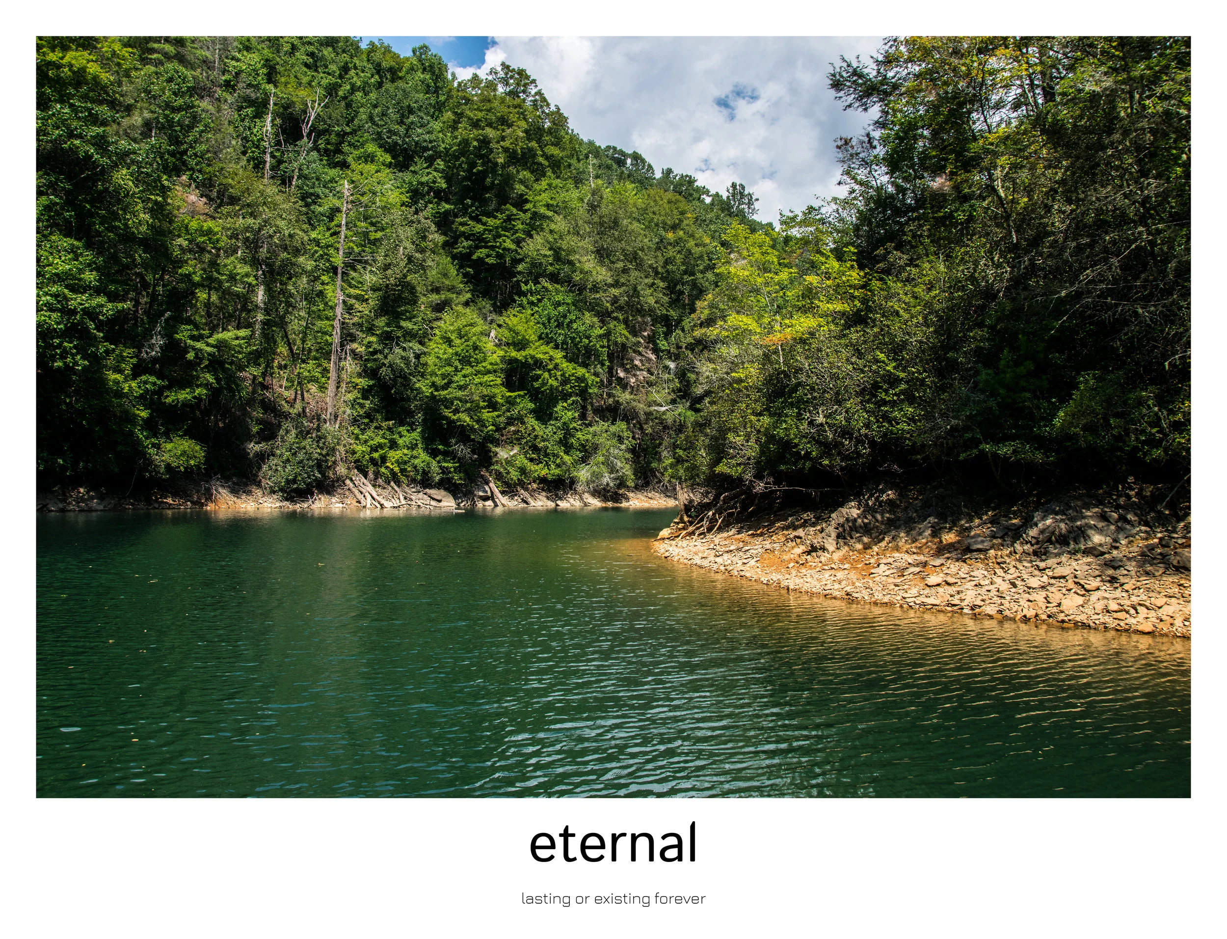 the capture of nature7.jpg