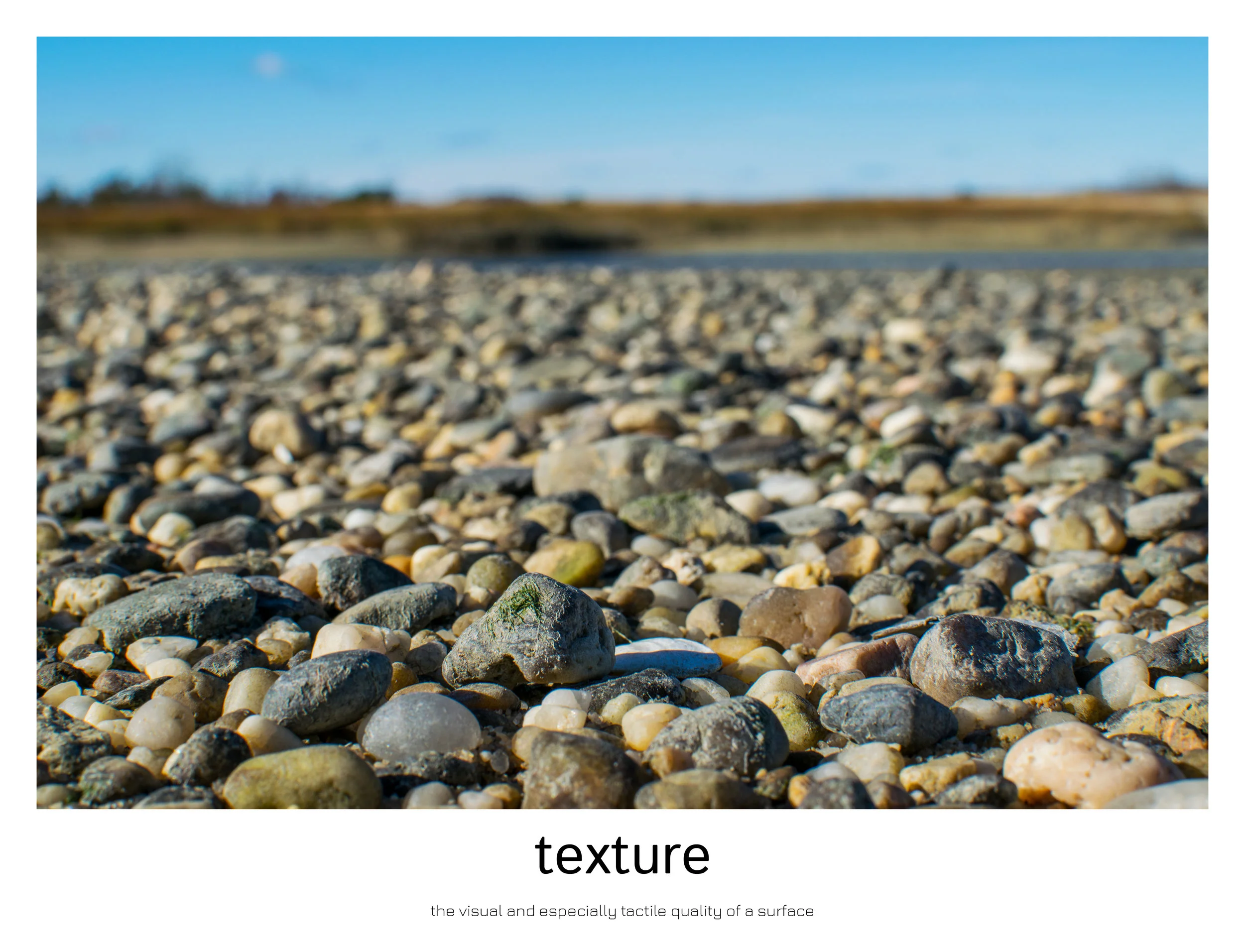 the capture of nature10.jpg