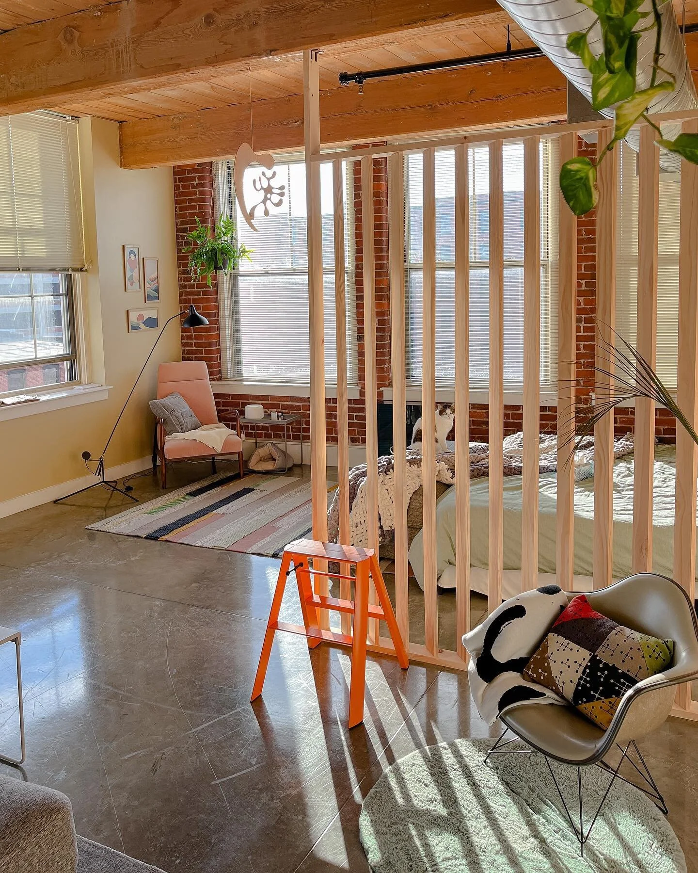 Lizard Eyes 🦎 🐈
.
.
loving my Vitra Mobile
.
thanks  @cami_harv :)
.
.
#vitra #eames #eamesplywood #eamesmobile #hermanmiller #mcm #midcenturymodern #design #homedecor #homeinspiration #modern #modernhome #housecat #aurora #mcmcat #houseplants #han