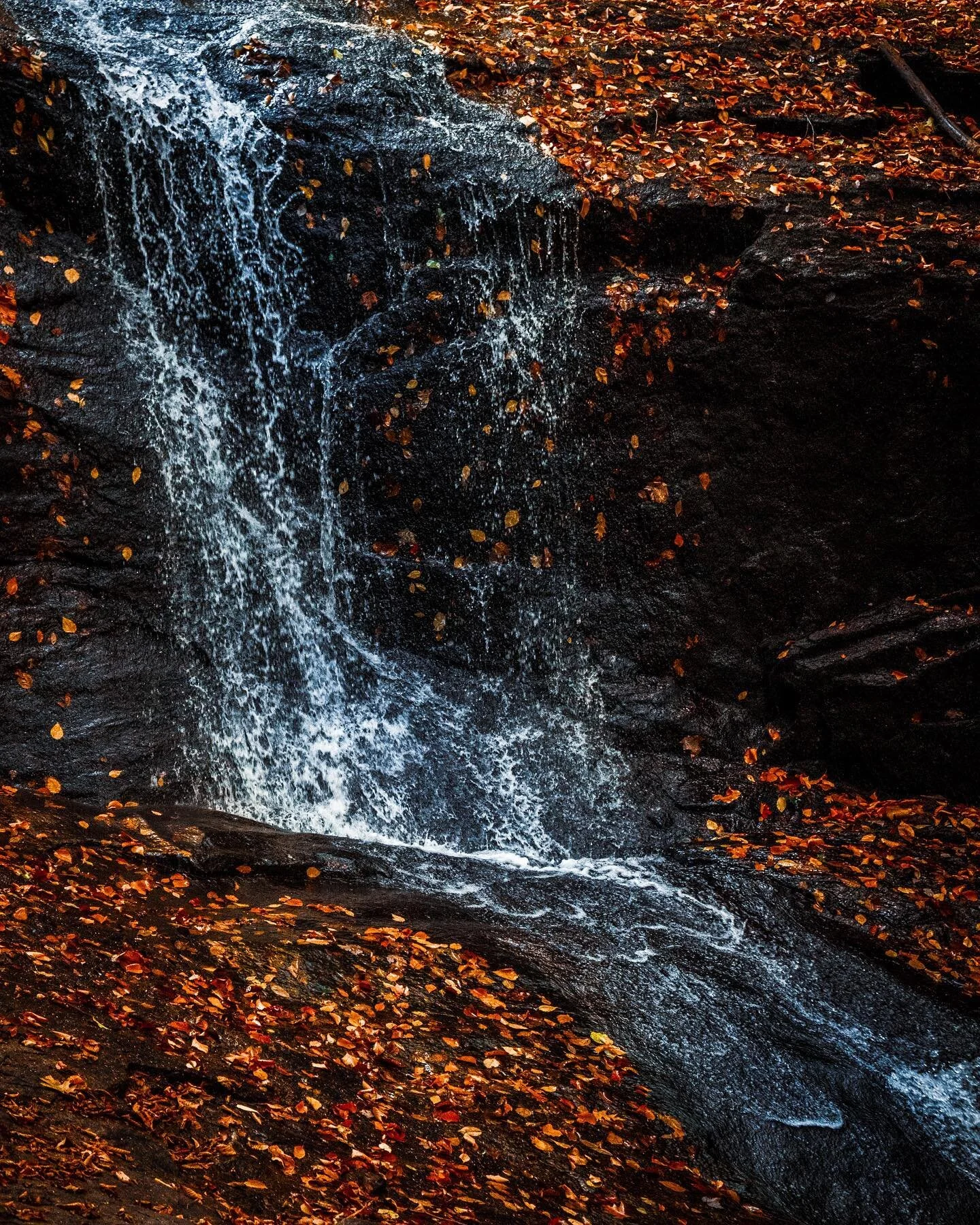 drip drip 💧
.
.
#naturephotography #nature #thegreatoutdoors #waterfall #landscapephotography #landscape #hiking #massachusetts_igers #massachusetts #naturalmassachusetts #igers #fiftyshades_of_nature #nature_perfection #water stream #fishing