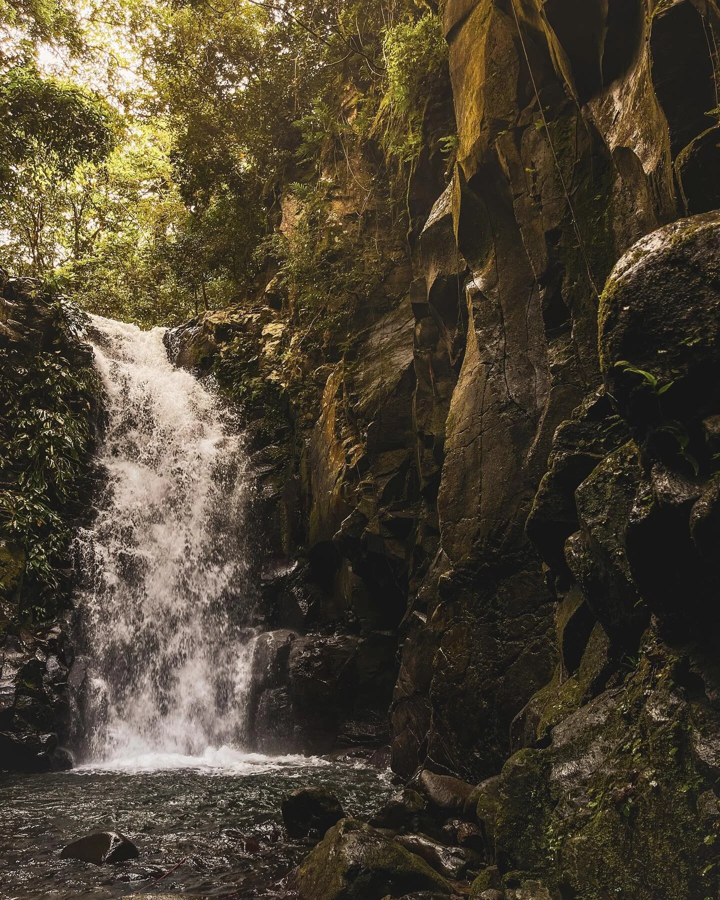 Somewhere in the Philippines
.
.
#travel #nature #forest #waterfall #river #hike #wild #naturephotography #travelphotography #ramen #coffee #belaying #philippines #rapids #climbing