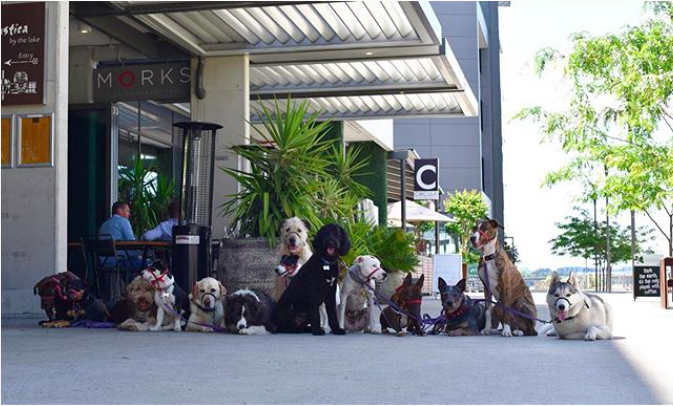 Image of the Foreshore Good Boys Gang from @morksrestaurant on Instagram