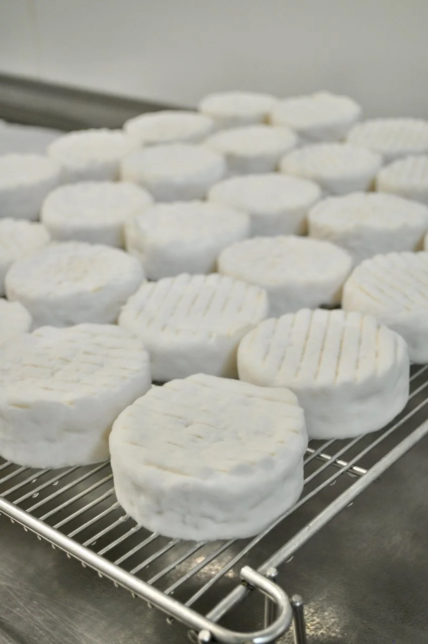 Chef's Gap Year: You eat when the cheese says you can eat