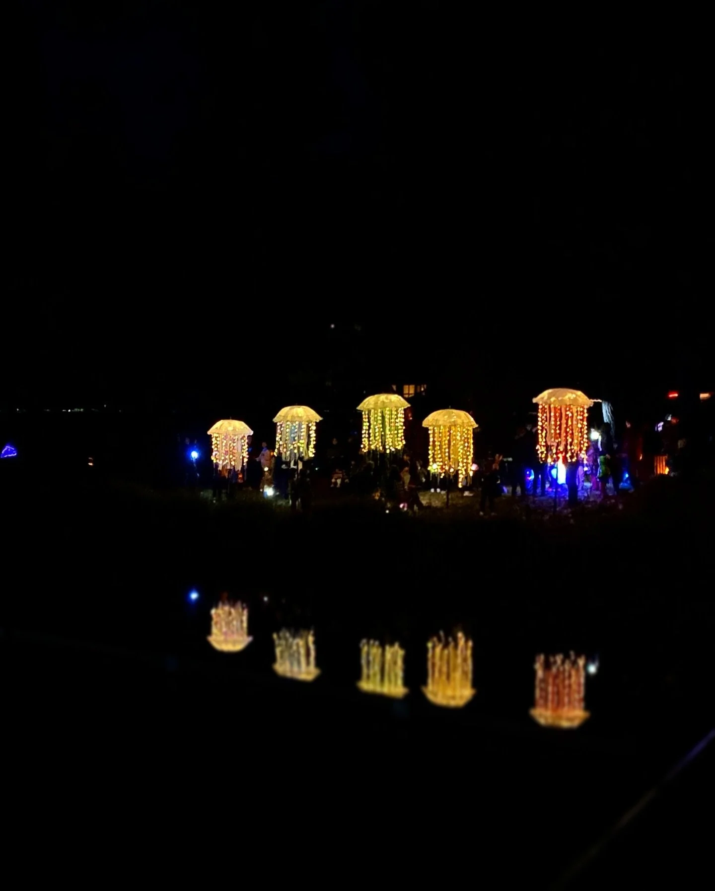 Love where I live: Light Up Lyneham bringing the art, music, food, community and joy