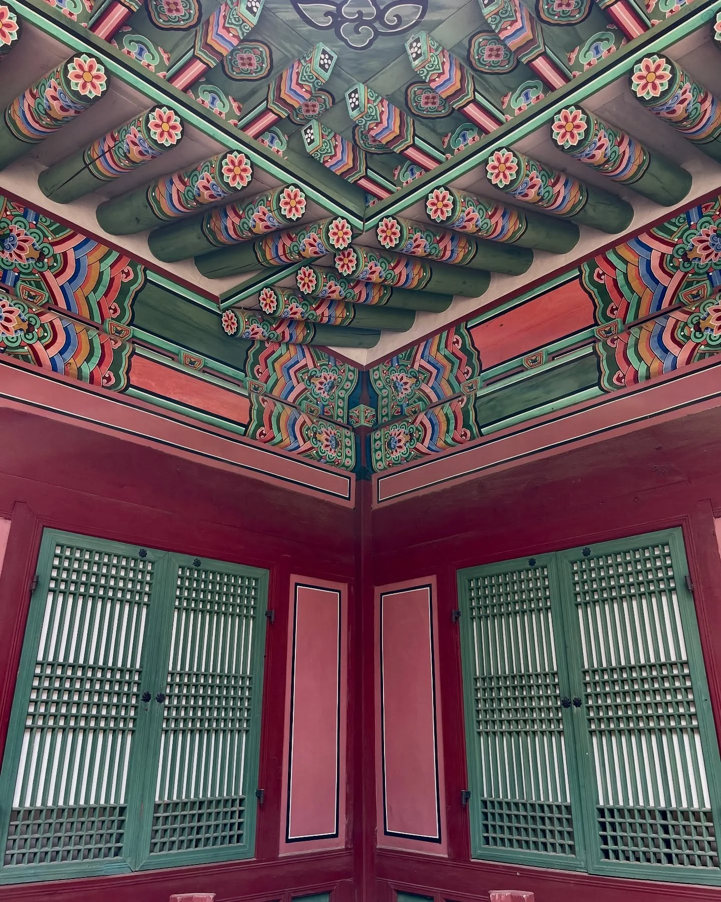 Week two of Korea off to a cracking start.
I farewelled my LVC comrades and headed south to Busan where regrets were had at the fish market (I do not recommend the sea cucumber and, frankly, I prefer my lunch not to wiggle at me!
Now on beautiful Jej