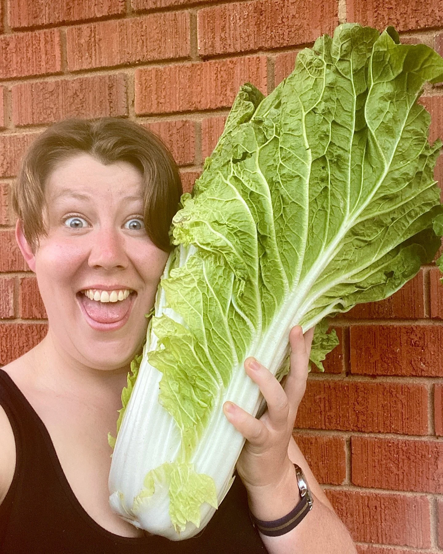 announce the purchase of three (yes THREE) outrageously large womboks. Should I have checked how bug they were before ordering? Probably. Should I have checked whether I would already have one in my produce box before ordering more? Absolutely! 

Any