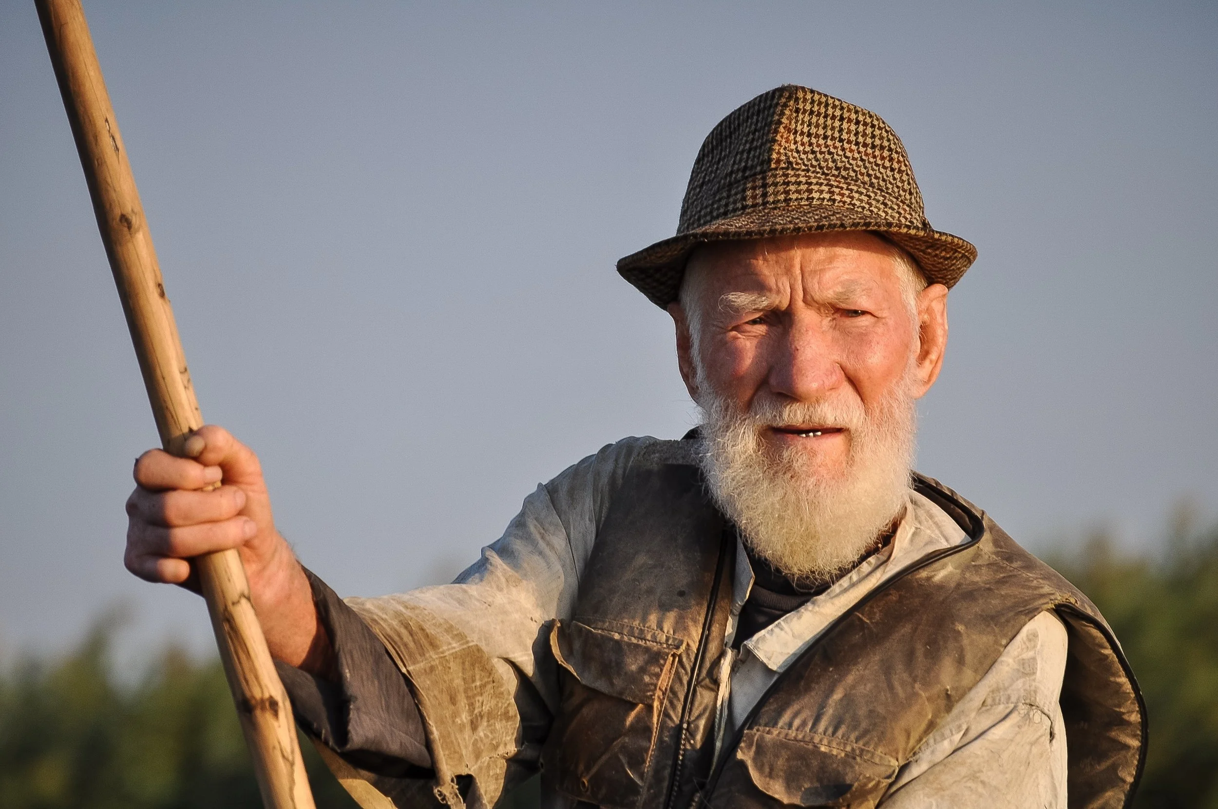 activity-beard-elderly-53159.jpg