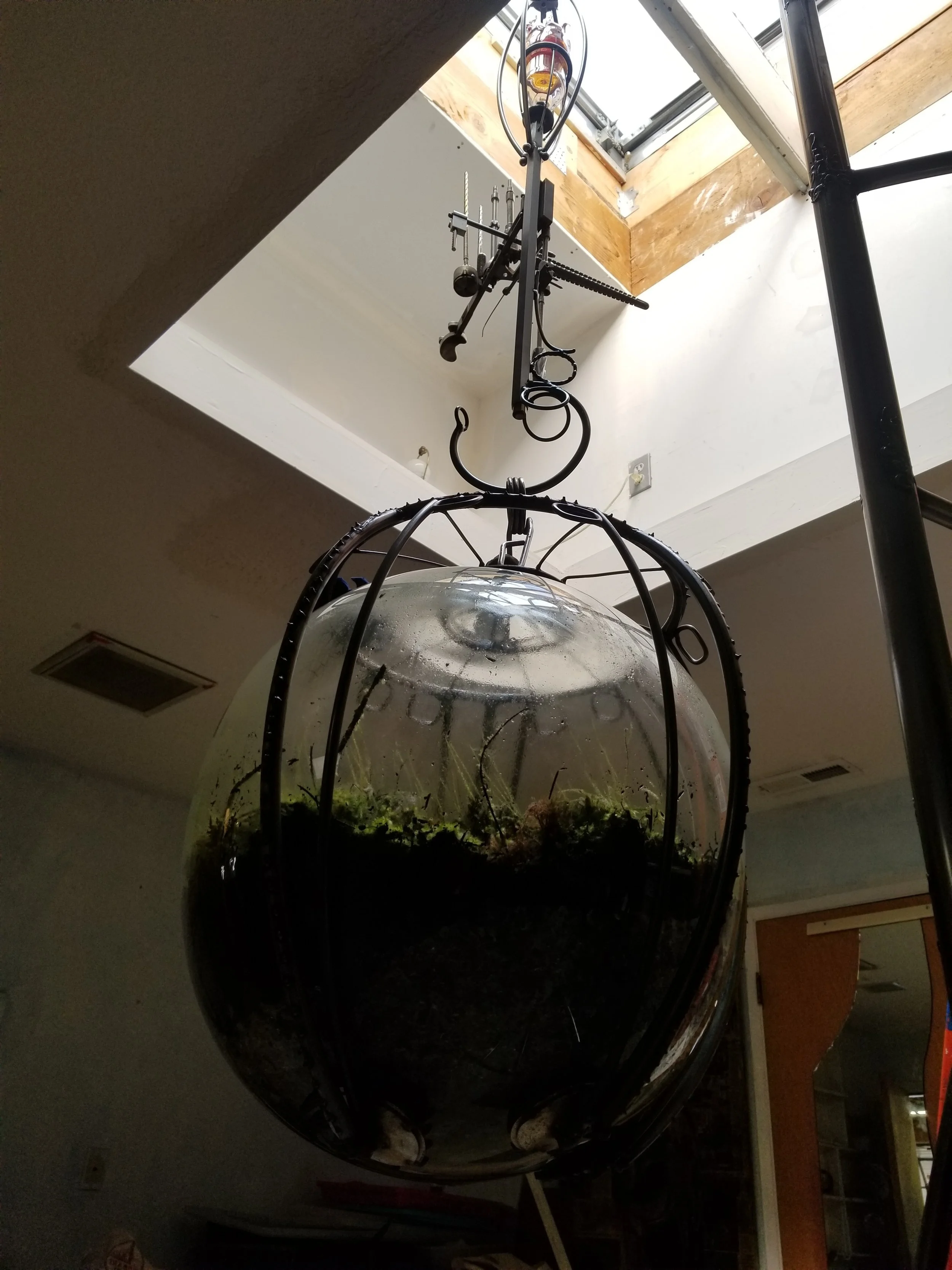 20180320_160225.jpg