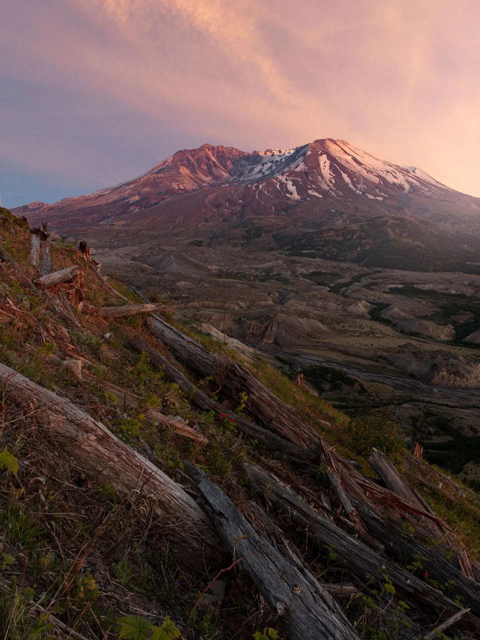 Mt St Helens, Boundary Trail -WA