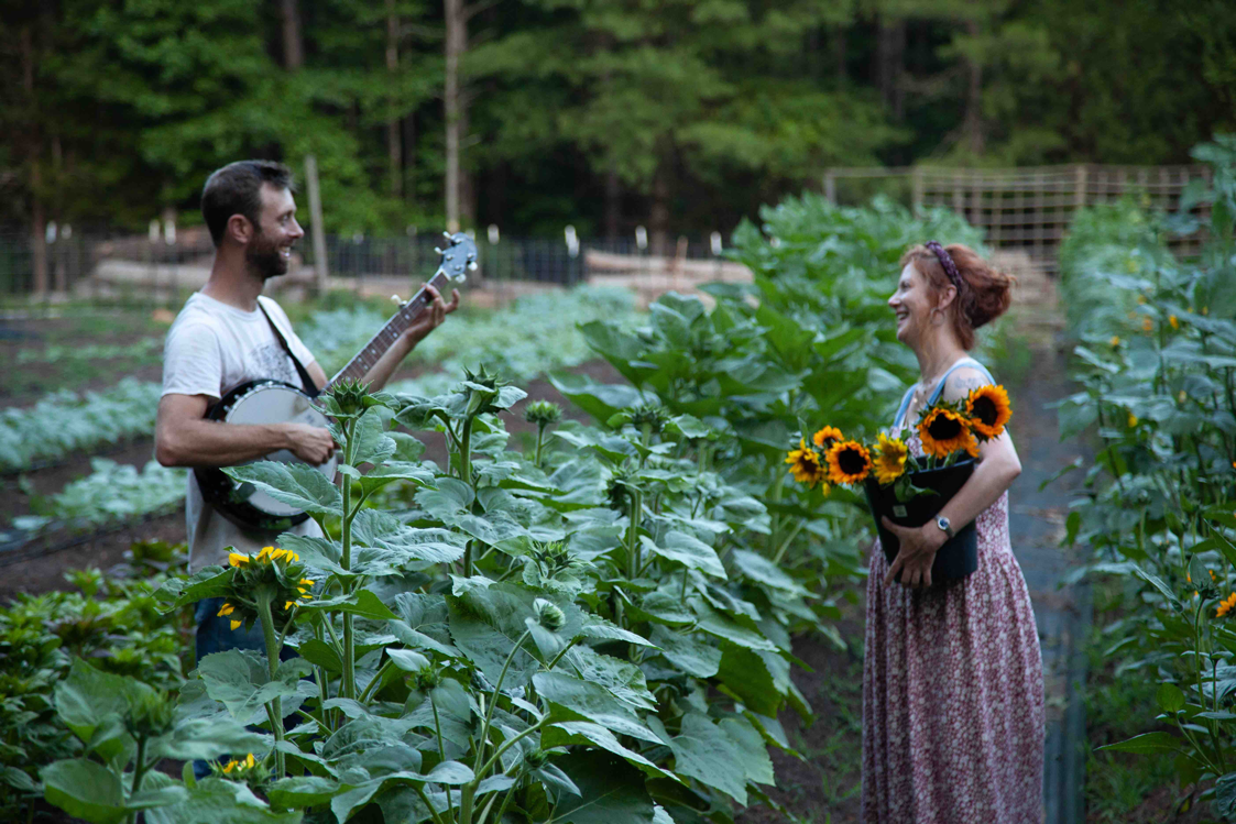 fireside-farm-randall-lisa-field-sunflower-banjo_small2.png