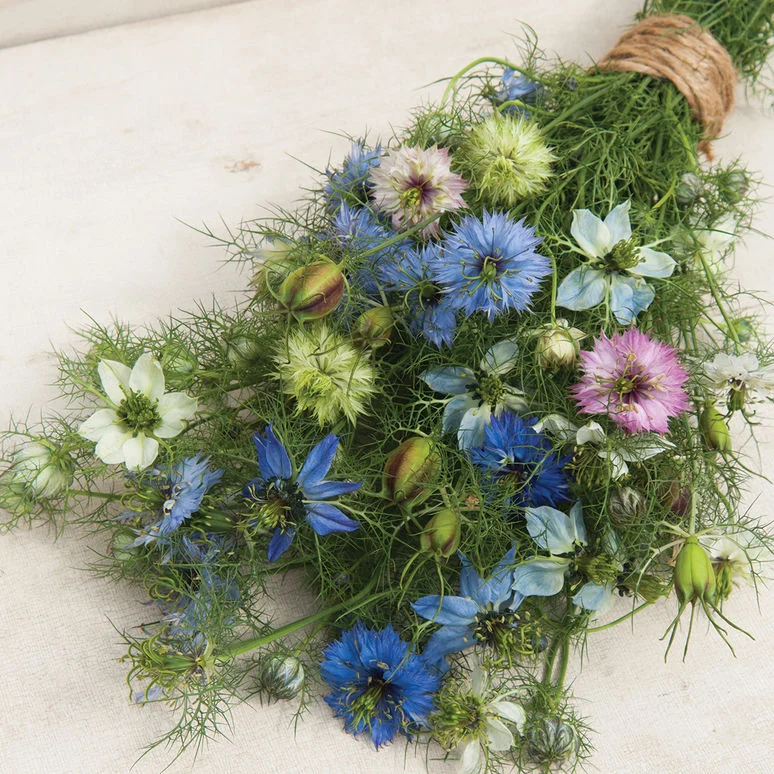 fireside farm_diy flower bucket_nigella_chapel hill durham farm.jpg