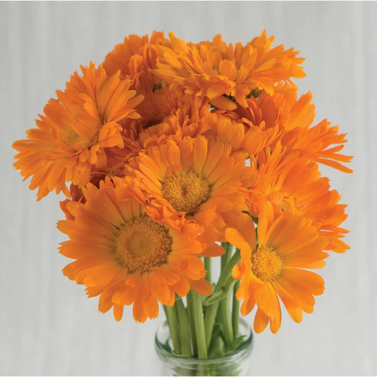 fireside farm_diy flower bucket_calendula_chapel hill durham.jpg