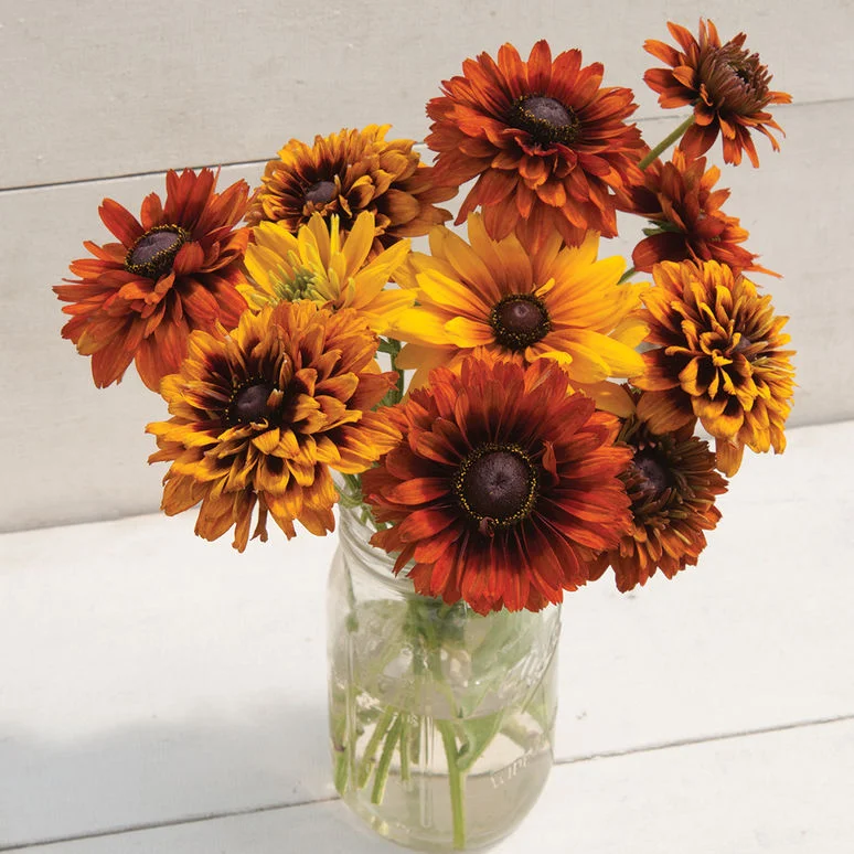 fireside farm_diy flower bucket_cherokee sunset rudbeckia.jpg