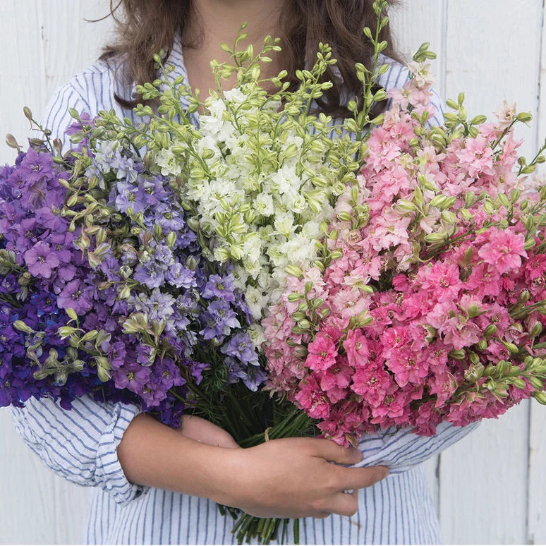 fireside farm_diy flower bucket_qis larkspur_chapel hill durham.jpg